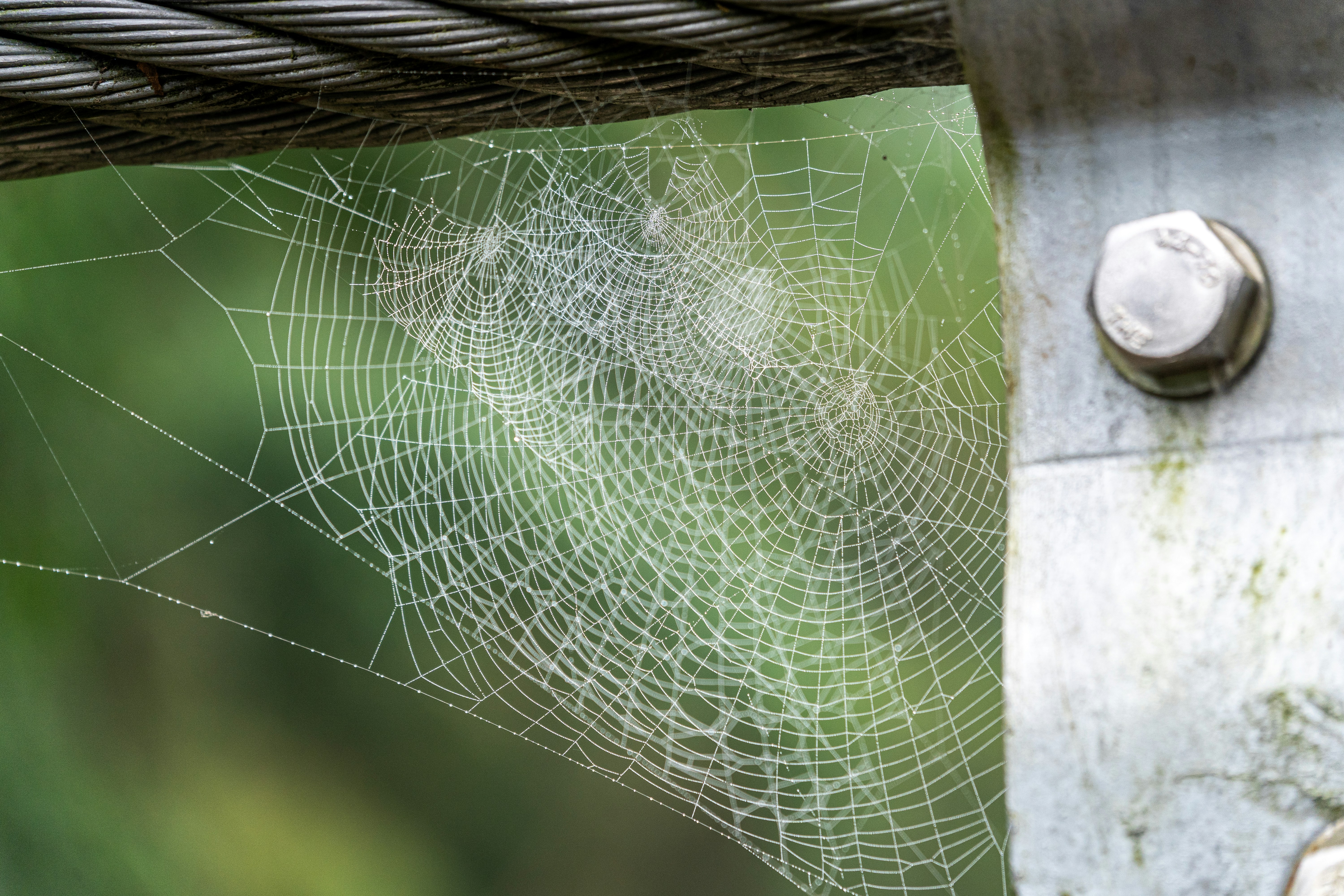 Photo by winstonchen