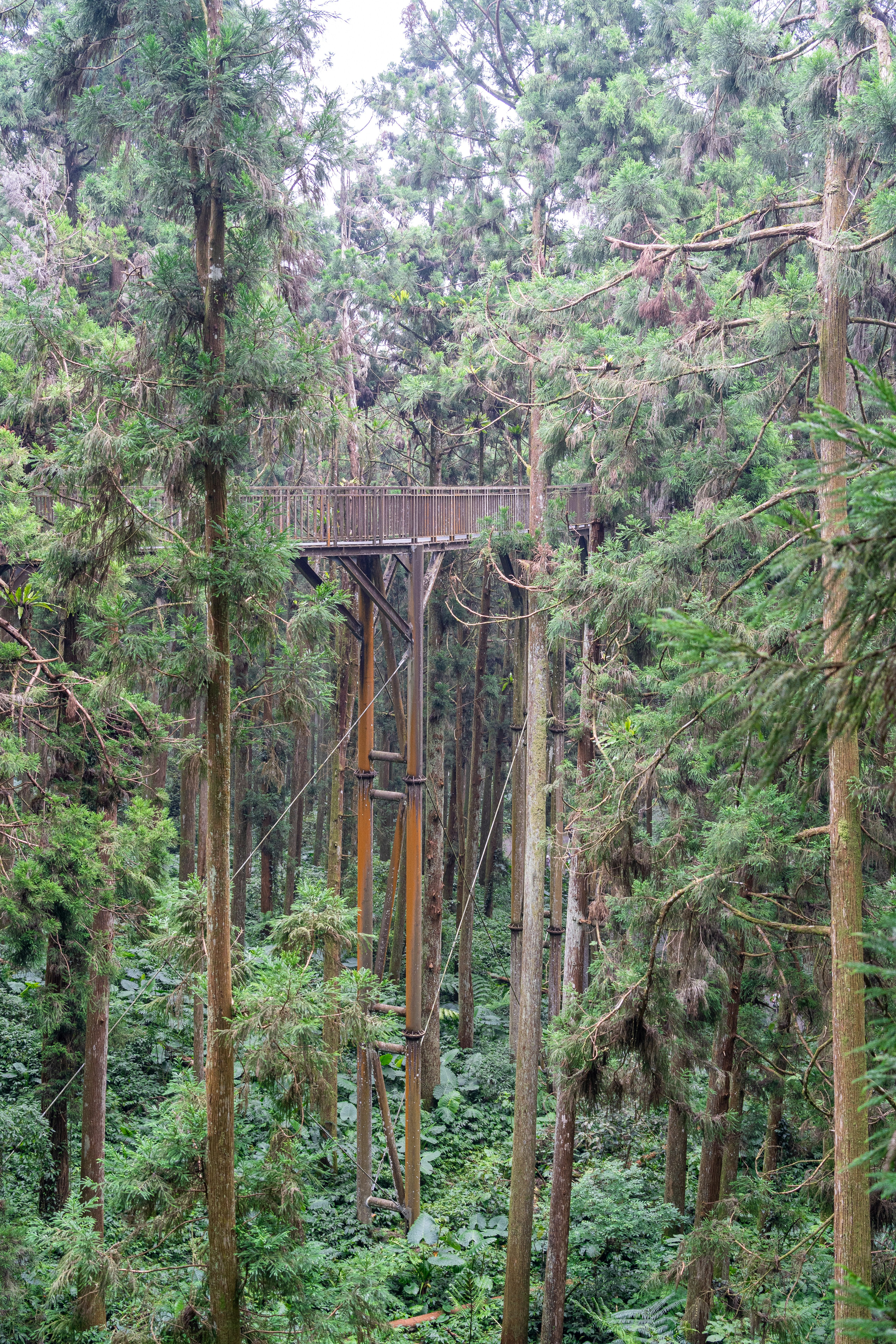 Photo by winstonchen