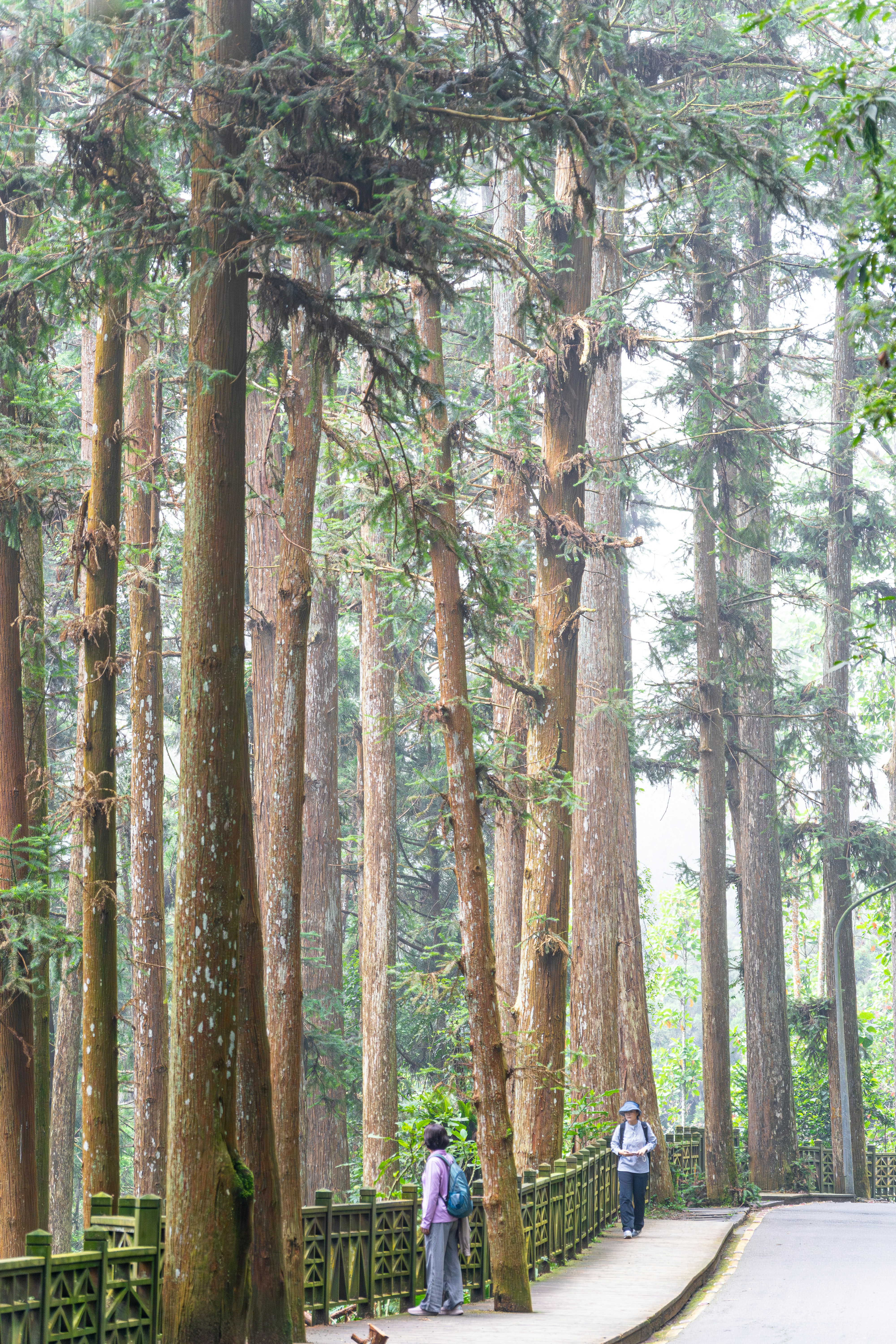 Photo by winstonchen