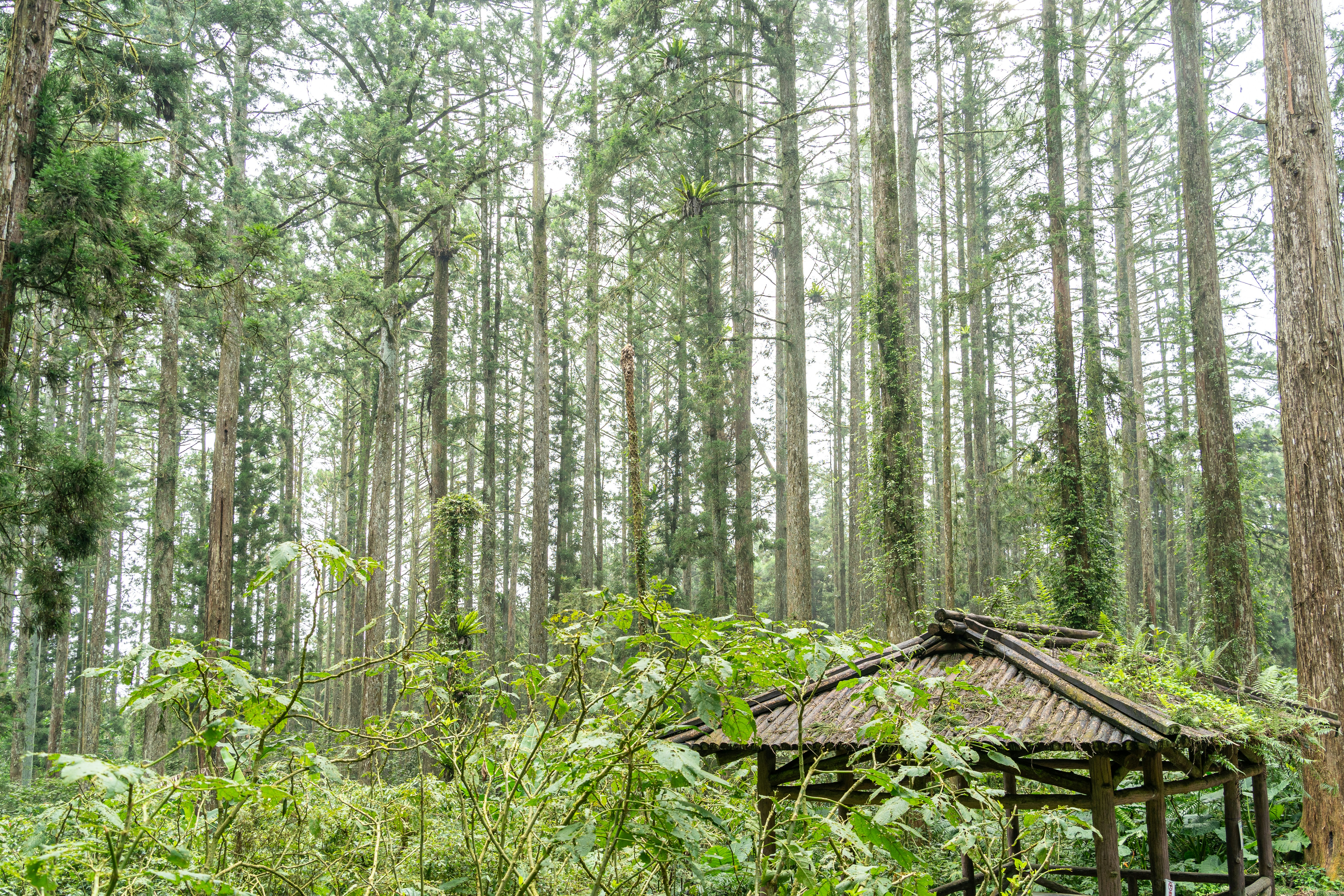 Photo by winstonchen