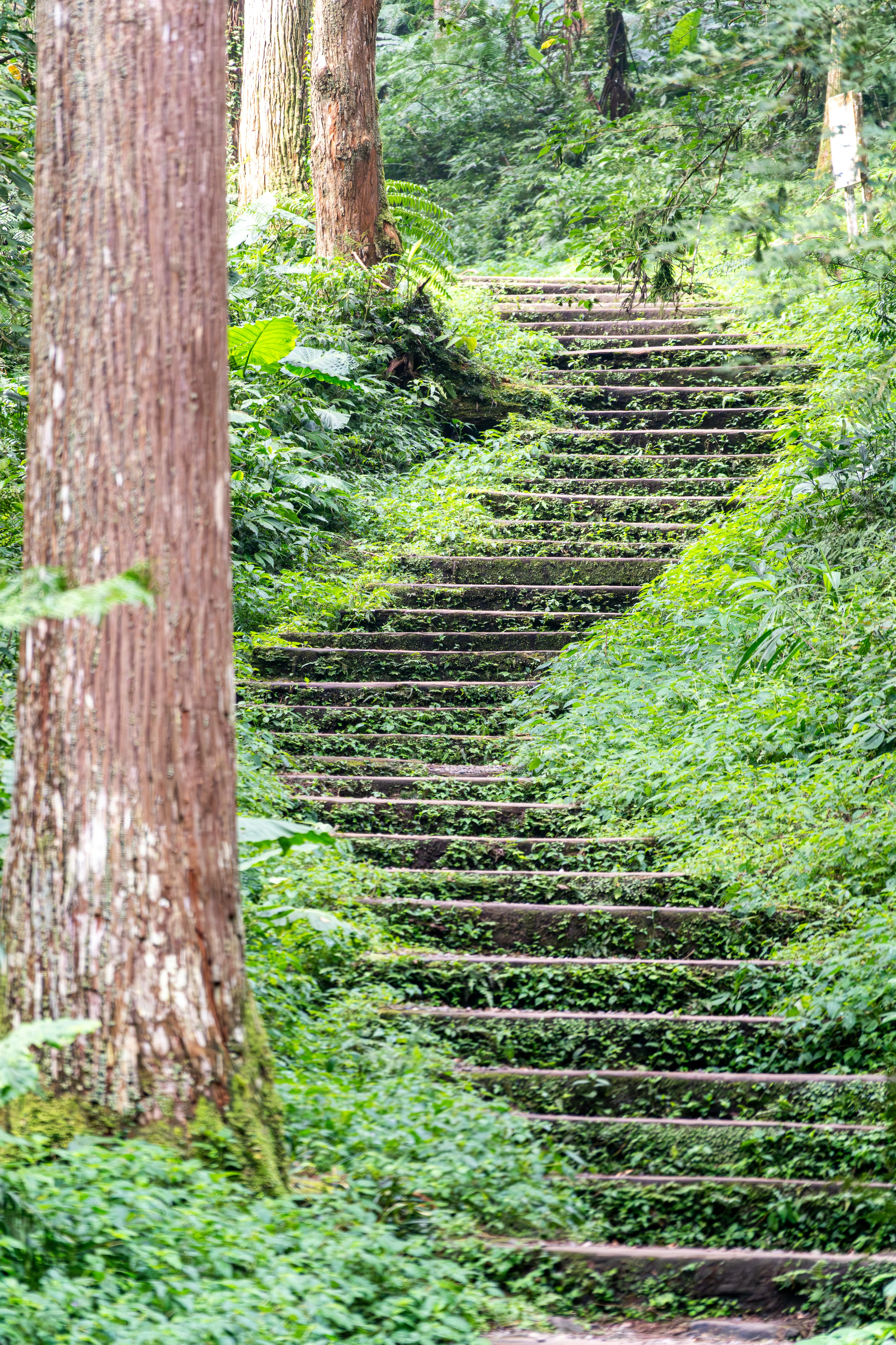 Photo by winstonchen