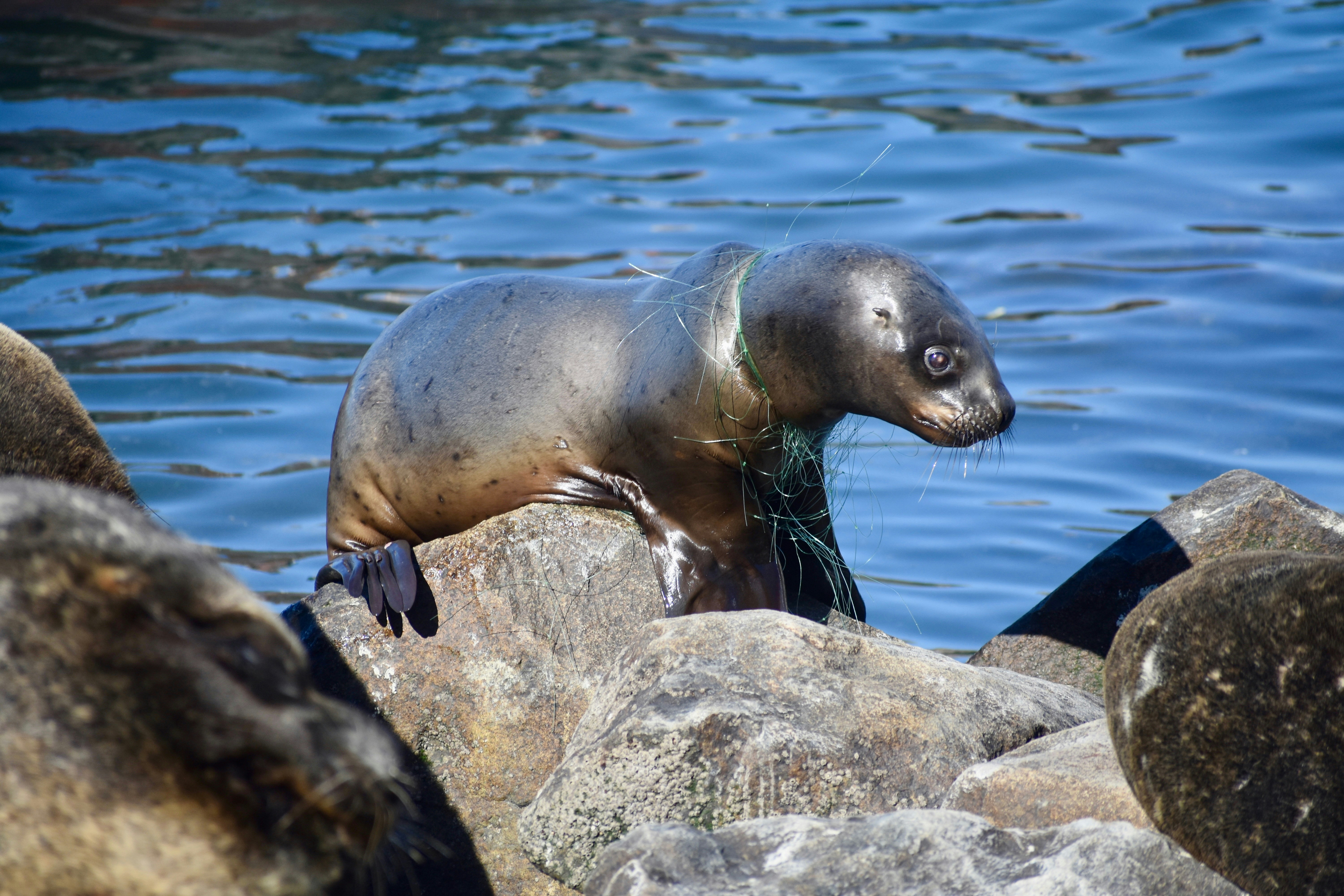 Photo by ricky_takes_photos