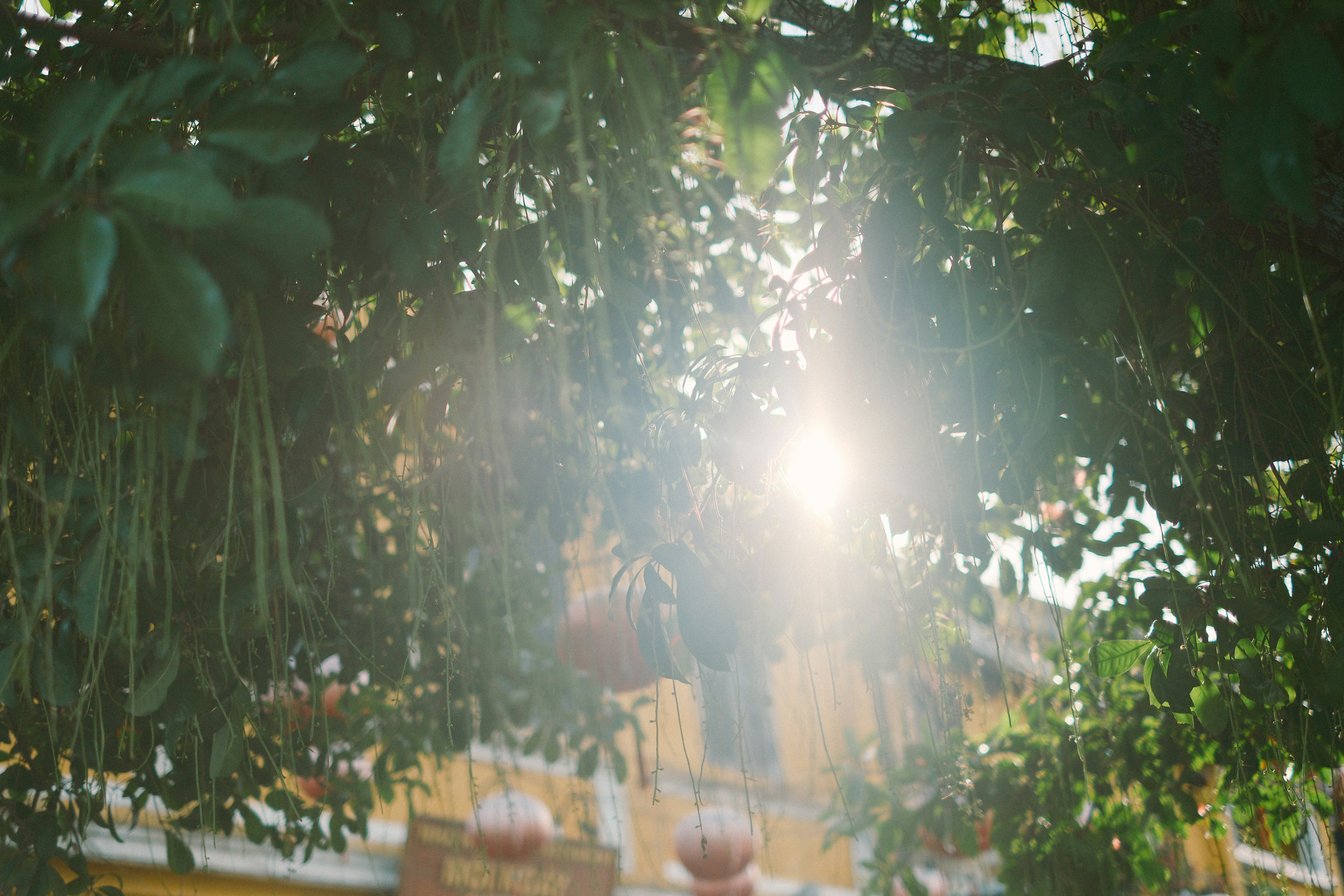 Photo by hoianphotographer