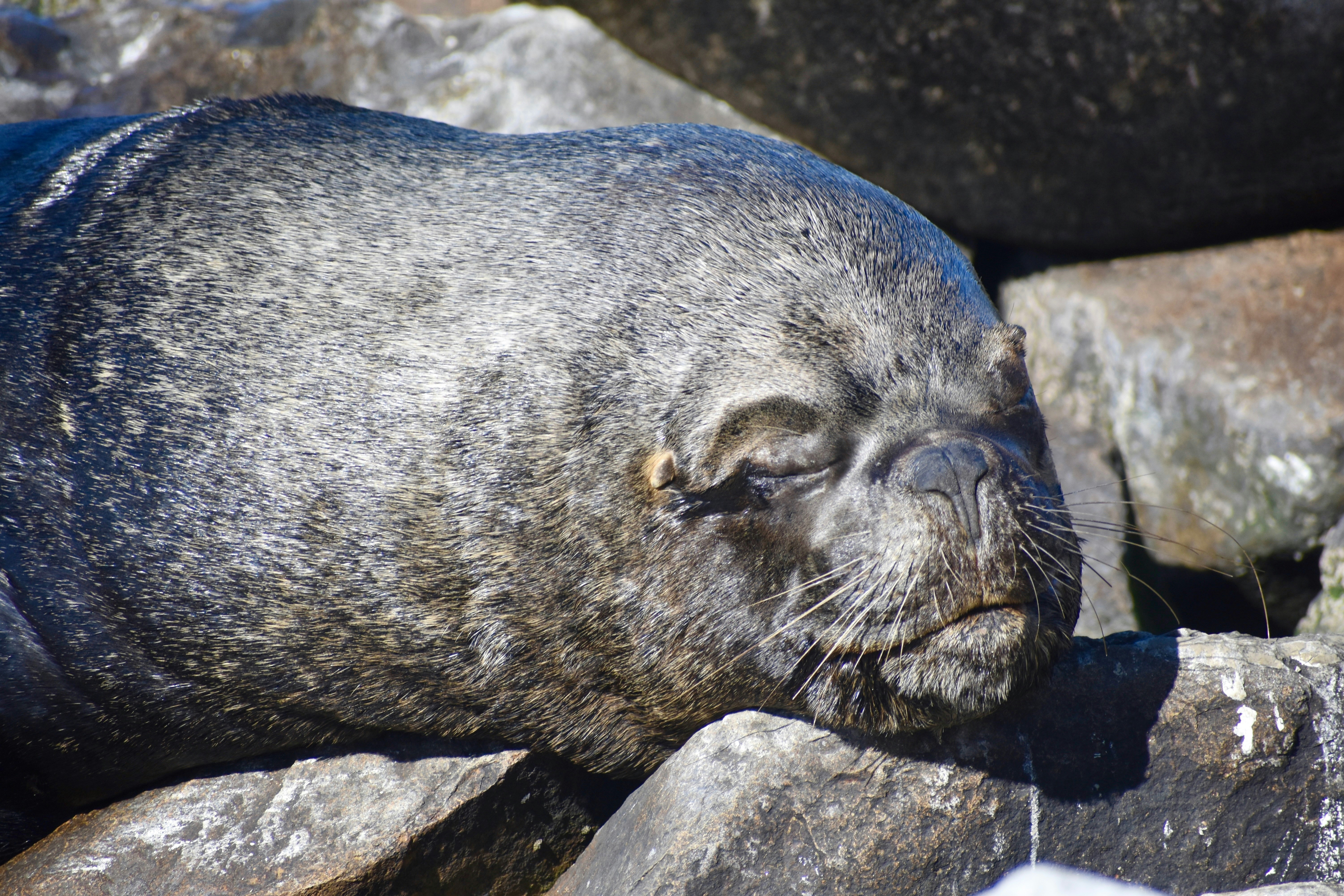 Photo by ricky_takes_photos