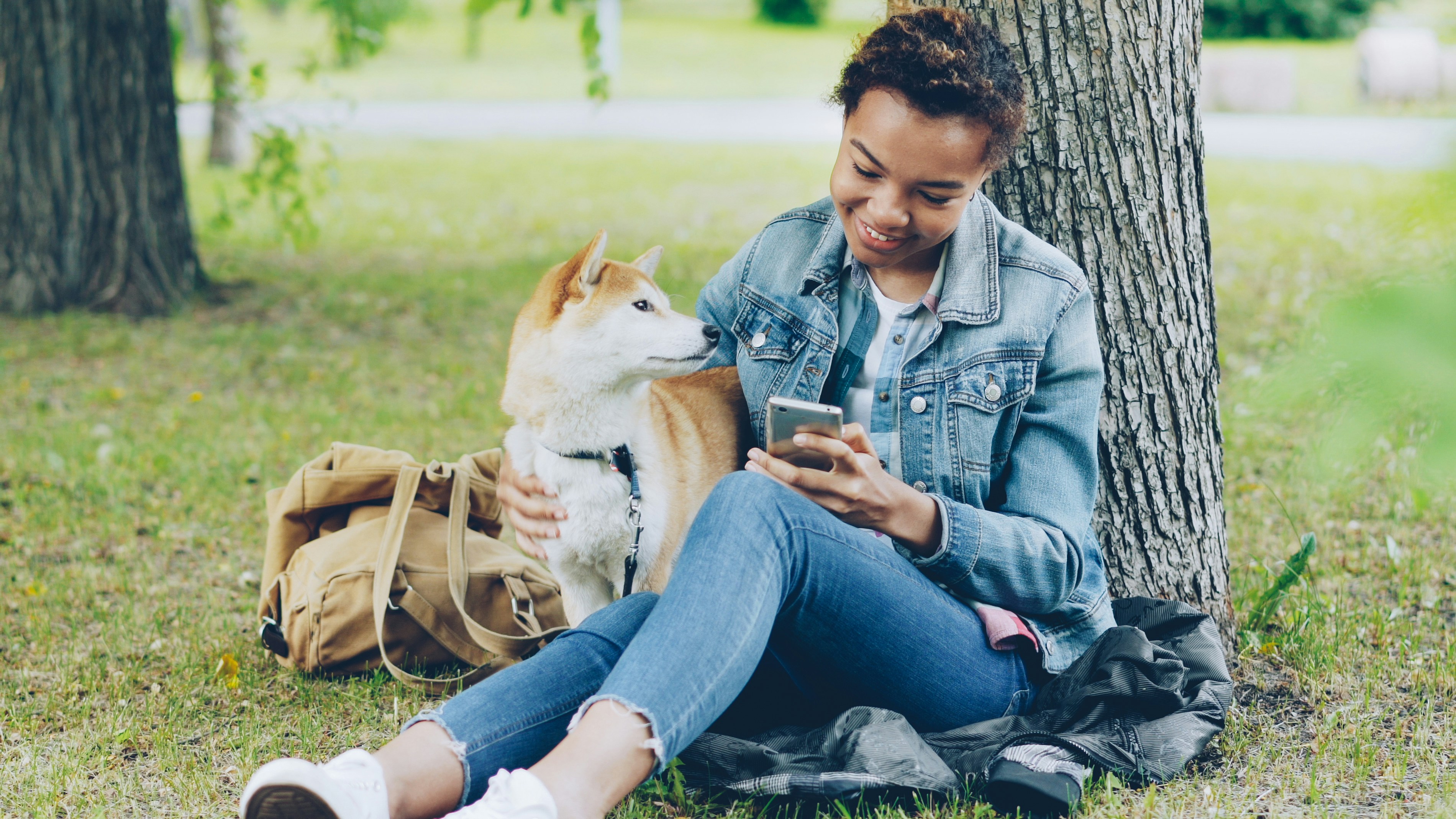 Sociable girl is using smartphone texting friends and stroking her adorable puppy while resting in park at summer weekend. Modern technology, people and animals concept.