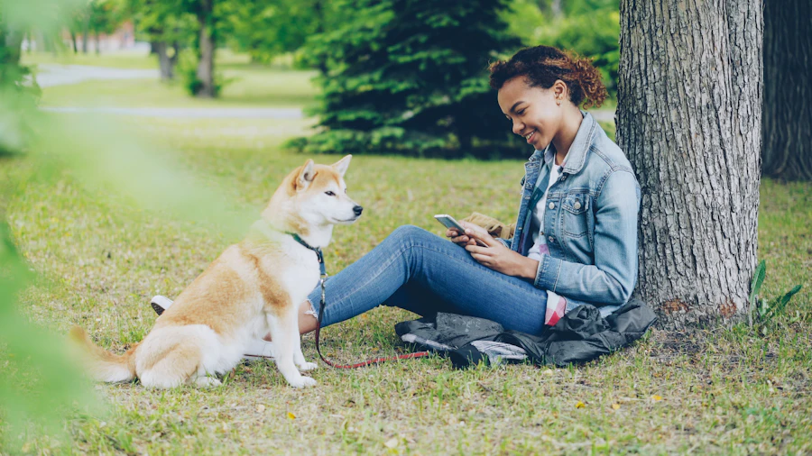 Nia sitting under a tree in the park while Miso looks around