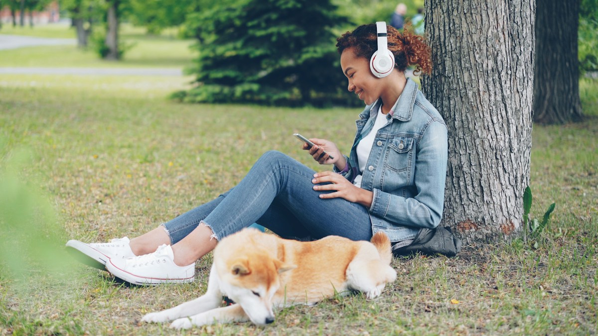 Shiba Inu deitado na grama do parque mordiscando as folhas enquanto a tutora usa o celular encostada numa árvore