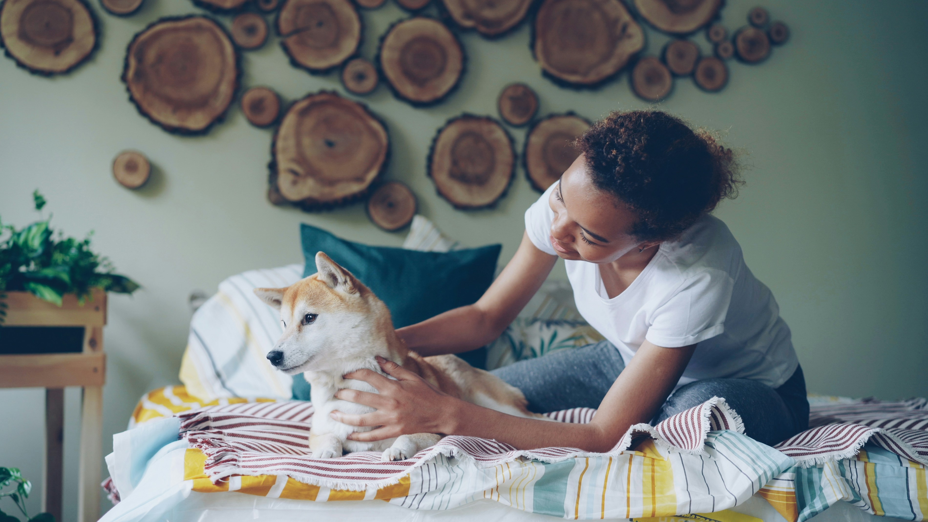 Photo by silverkblack