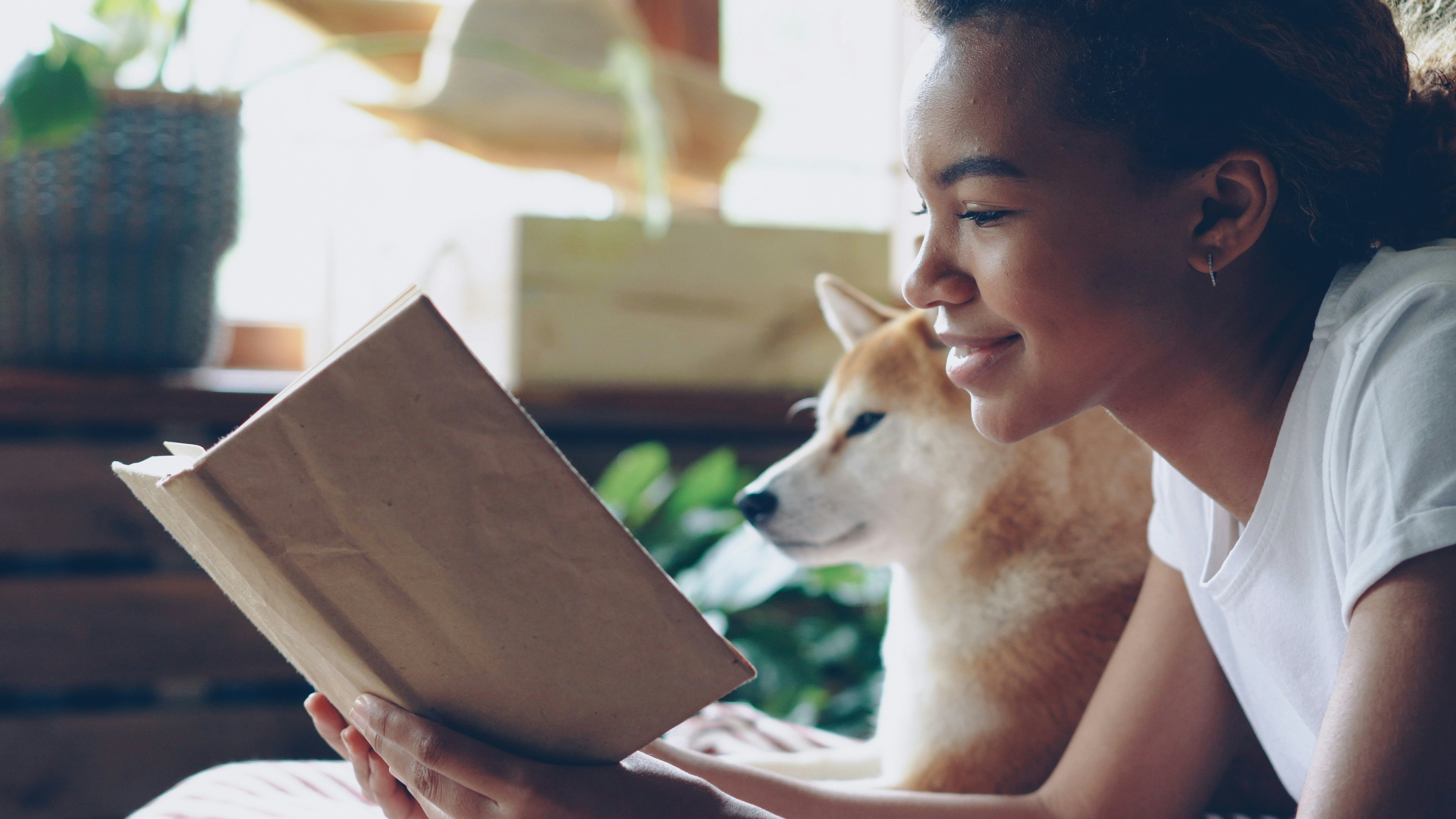 Close-up shot of smart African American woman reading book in free time lying on bed with her cute pedigree dog with large window and green plants in background