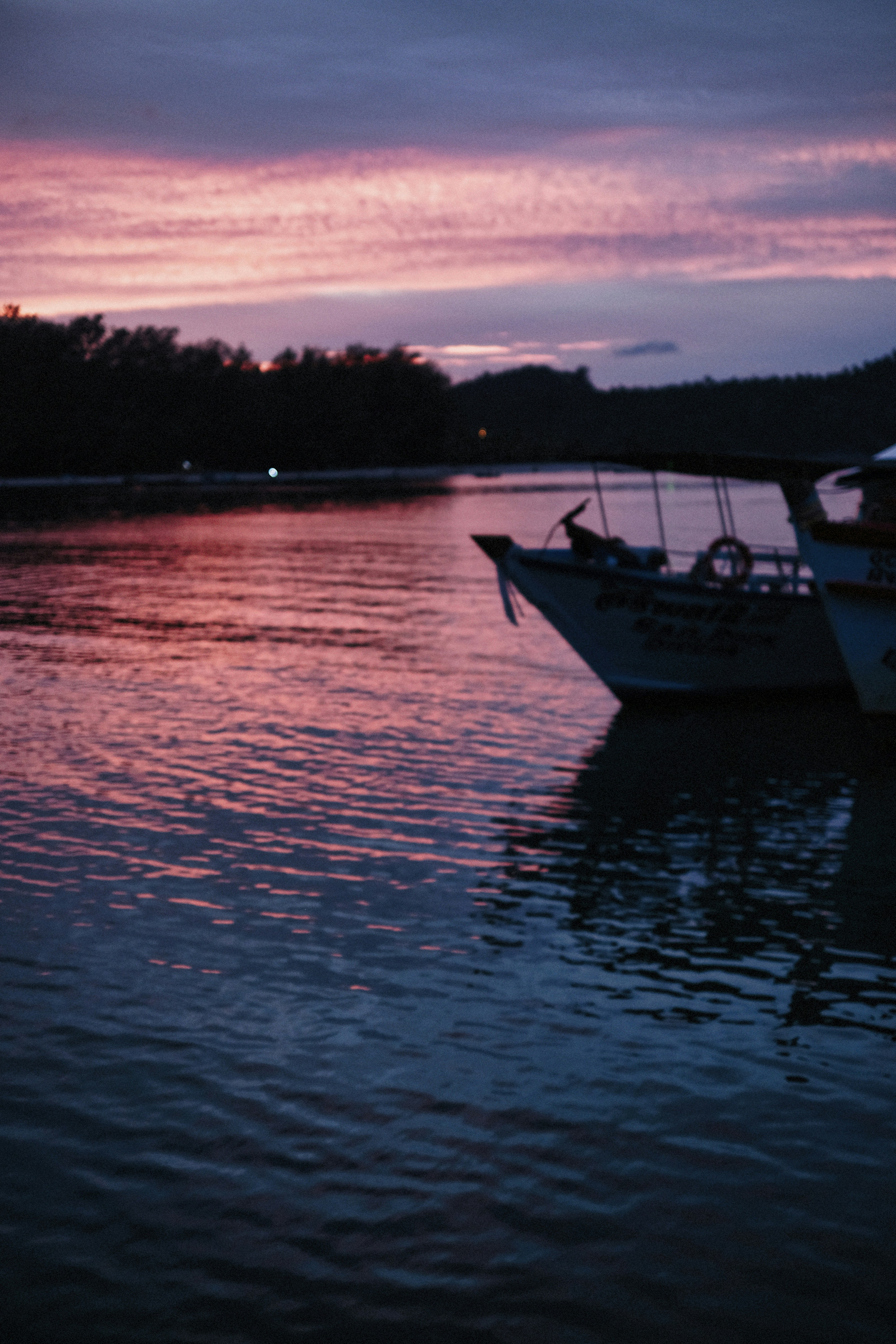 Photo by alexeydemidov