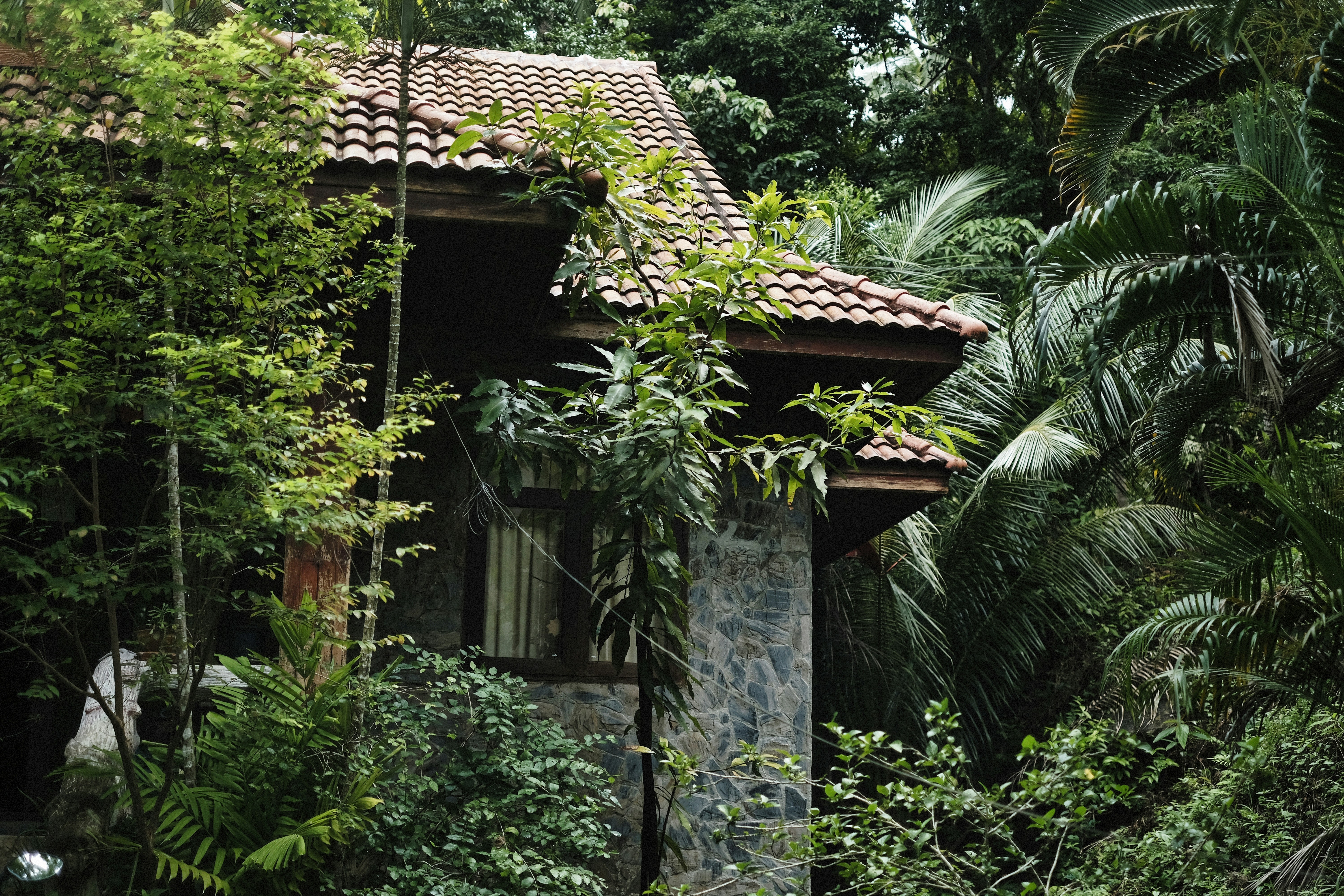 Luxury jungle cottage