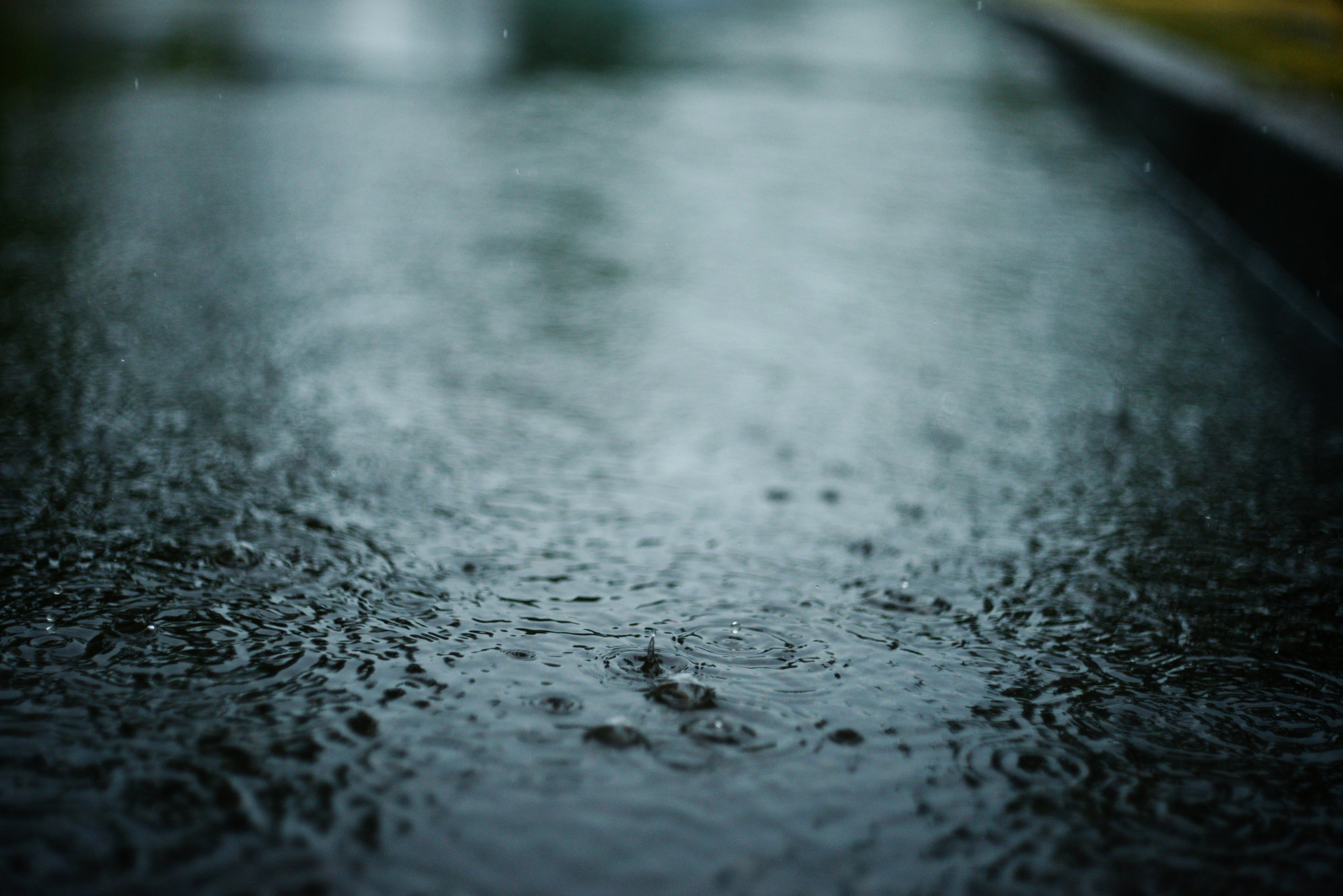 Photo by cherstve_pechivo