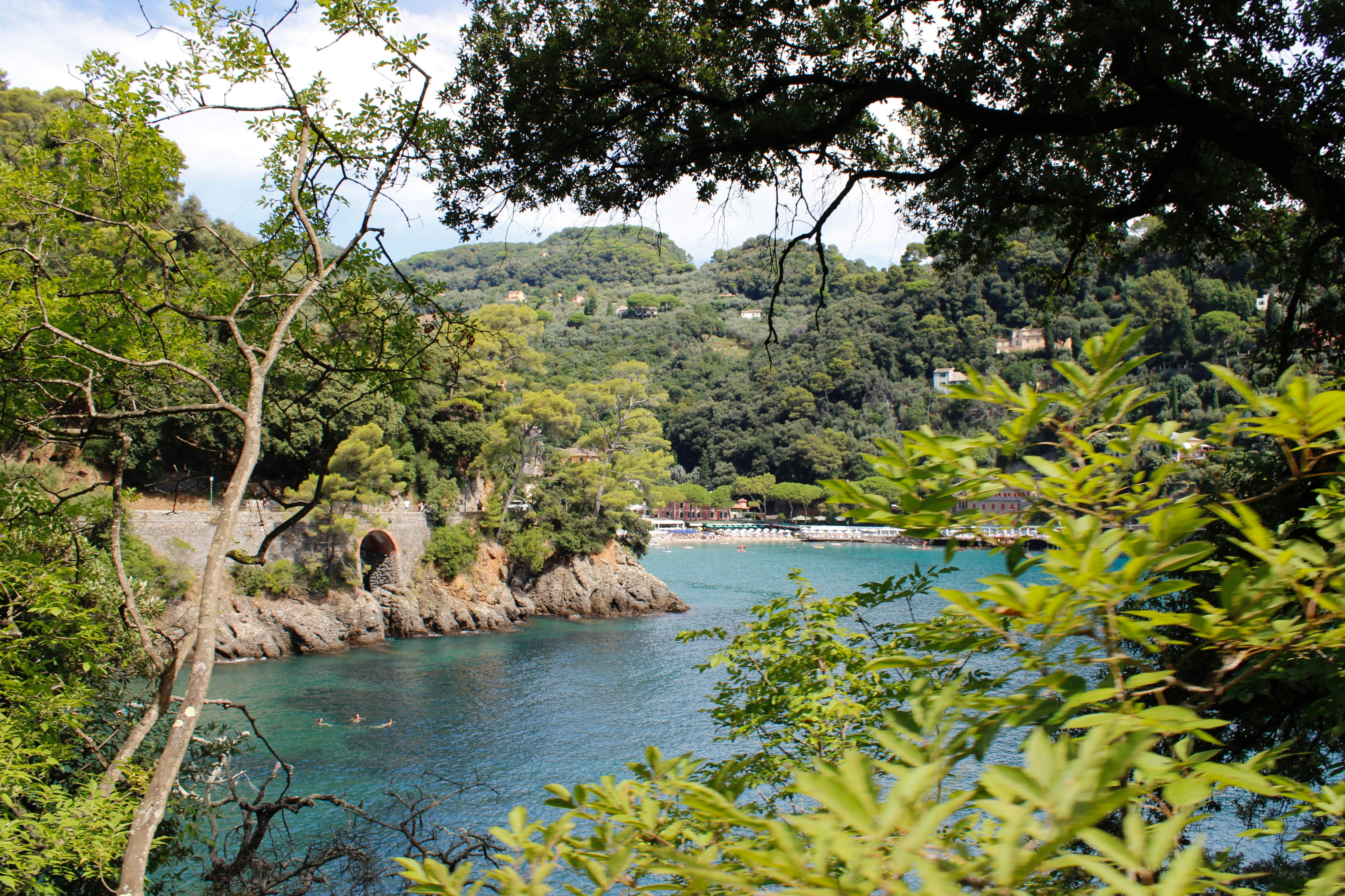 A lush, scenic view of a bay.