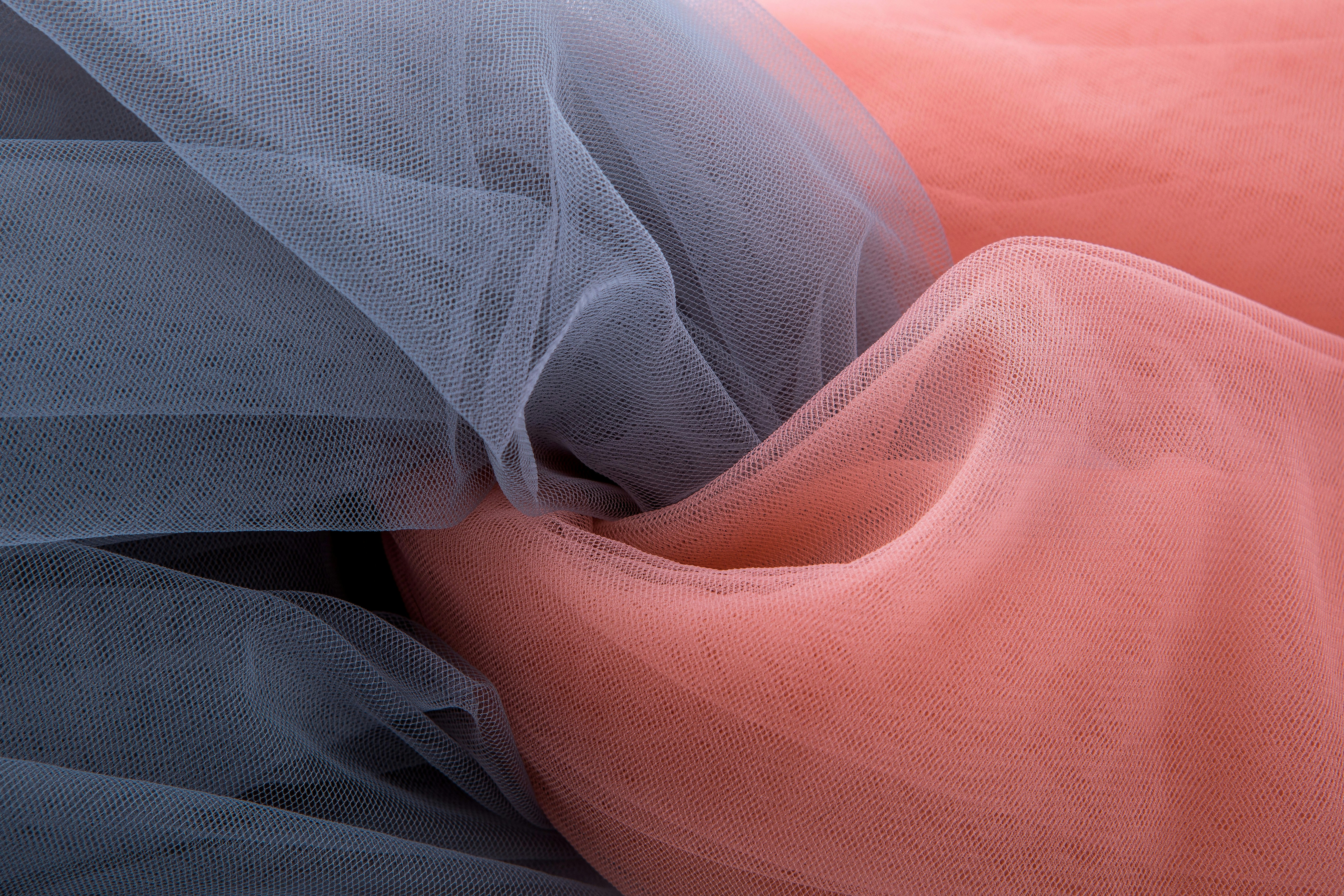 비만과 지방세포의 관계