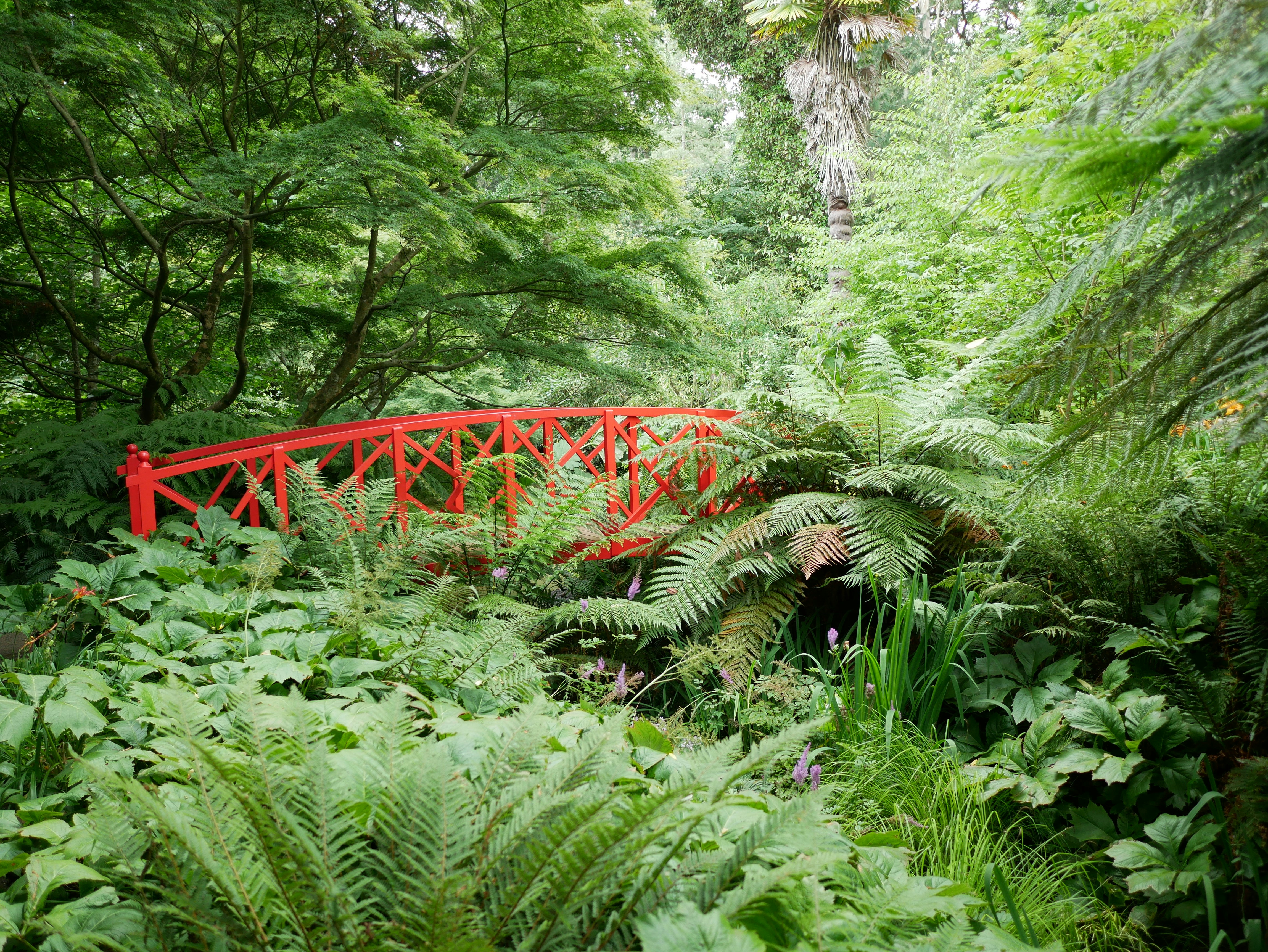 A red bridge spans lush, green foliage.