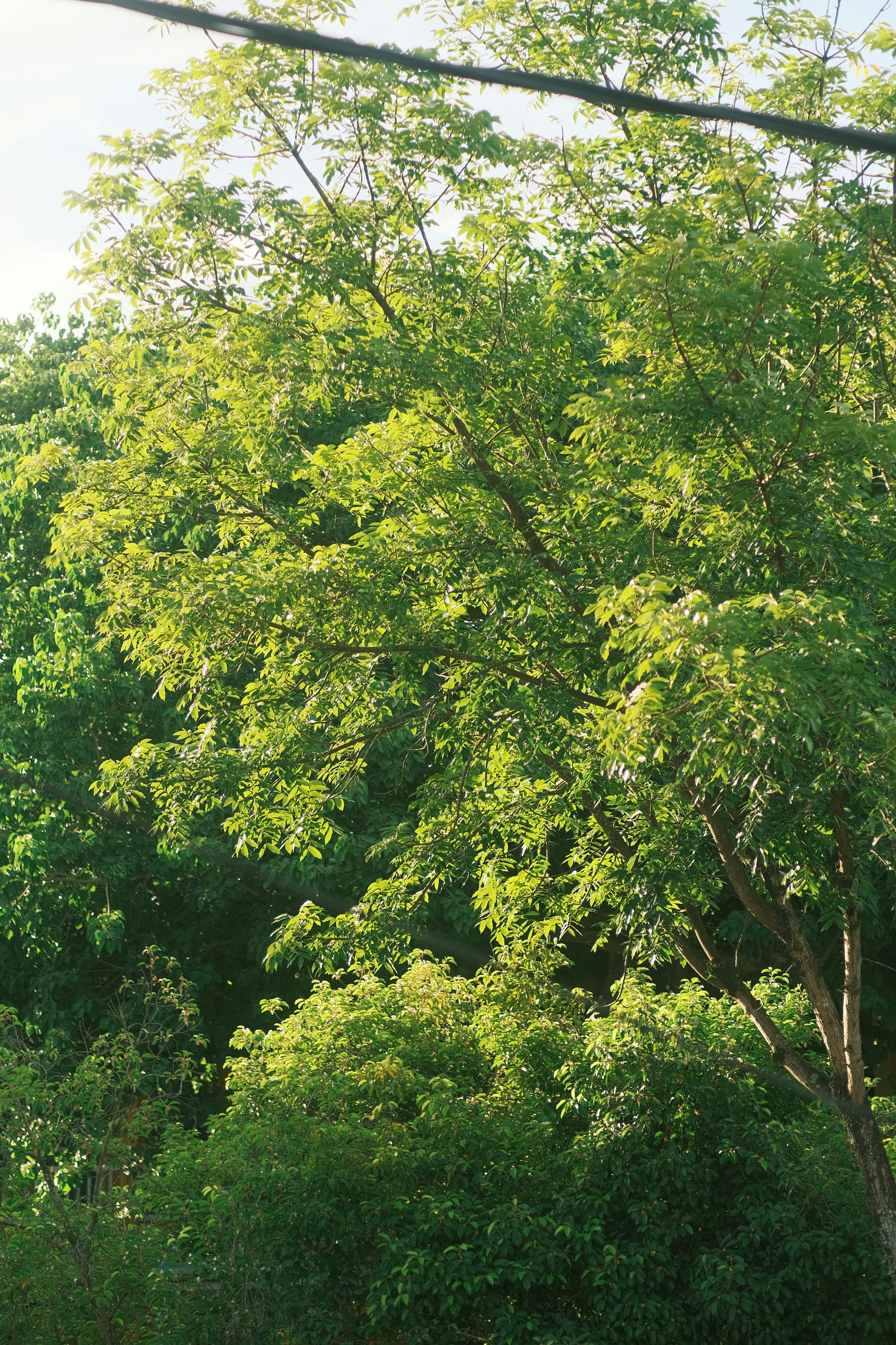 Photo by tutrananh109