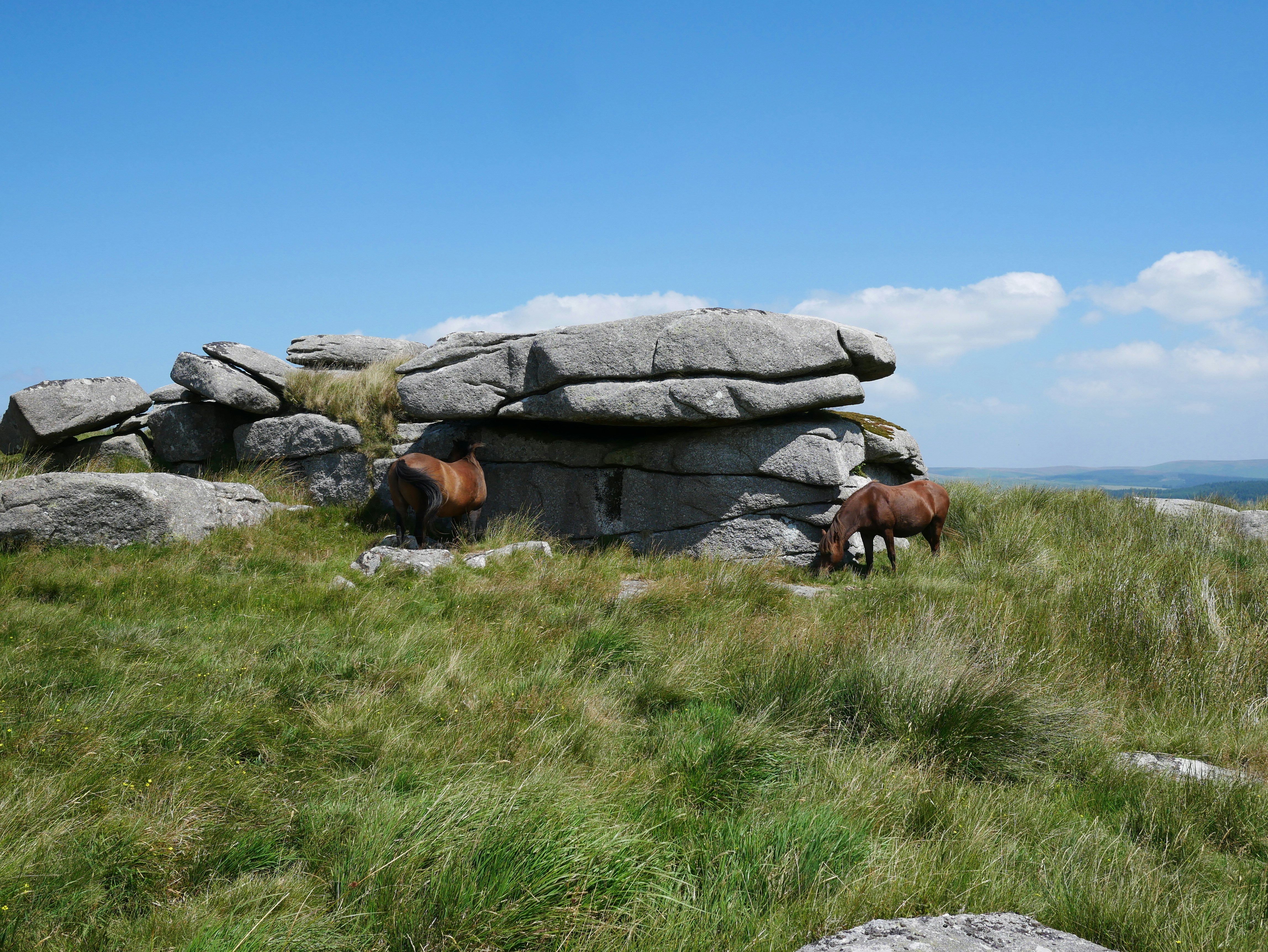 Horses graze near a rock formation in a field.