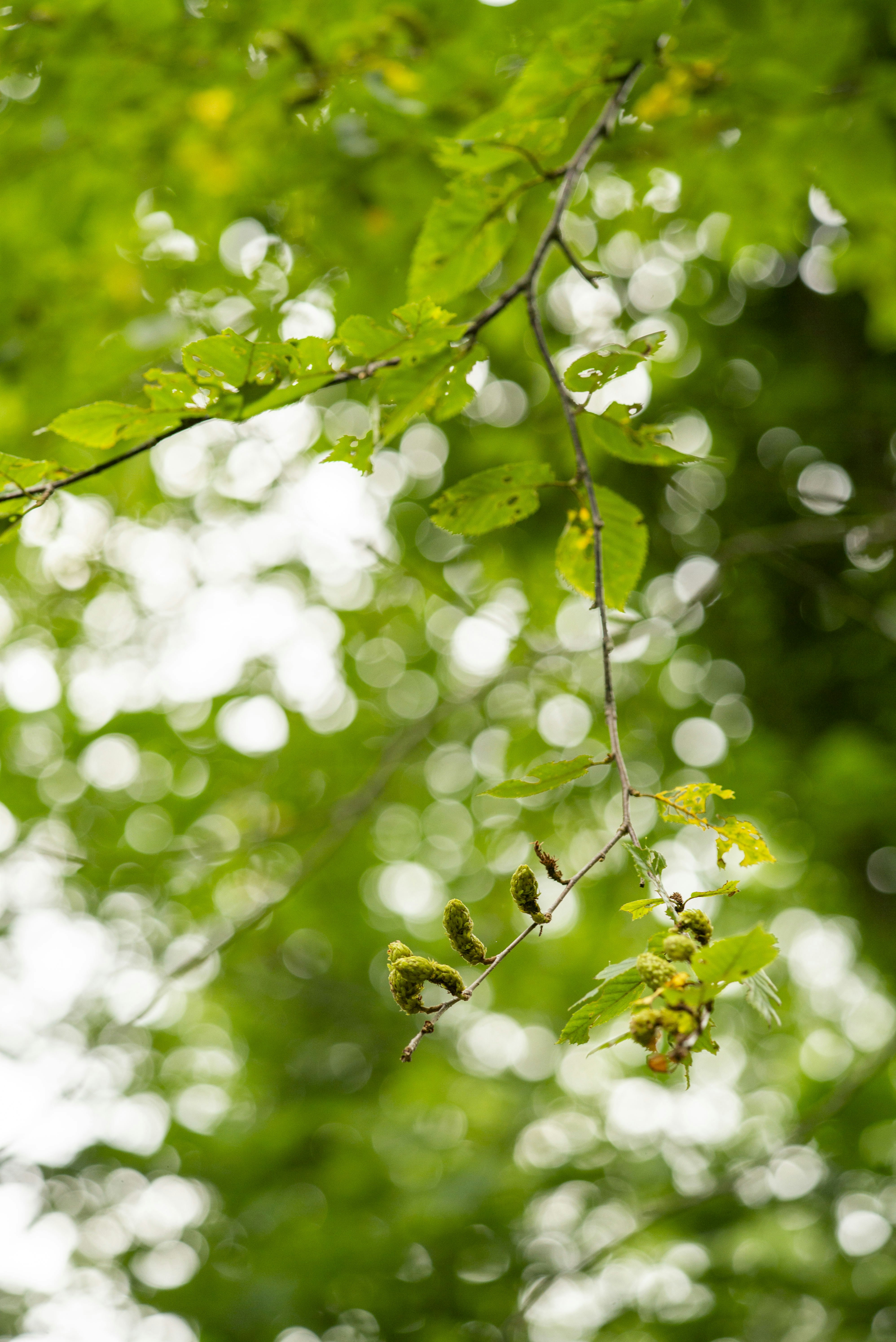 Photo by seunghoparklee