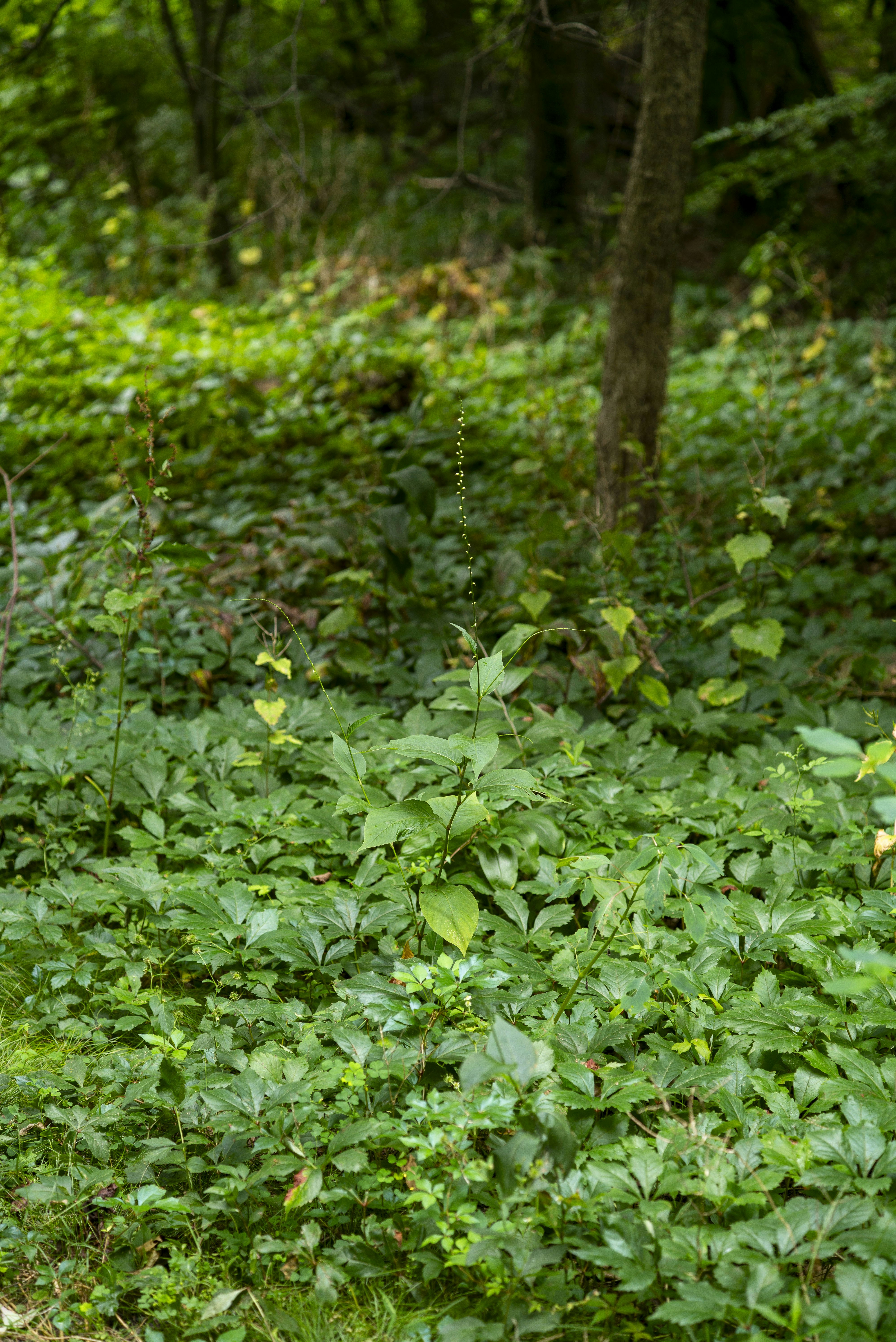 Photo by seunghoparklee