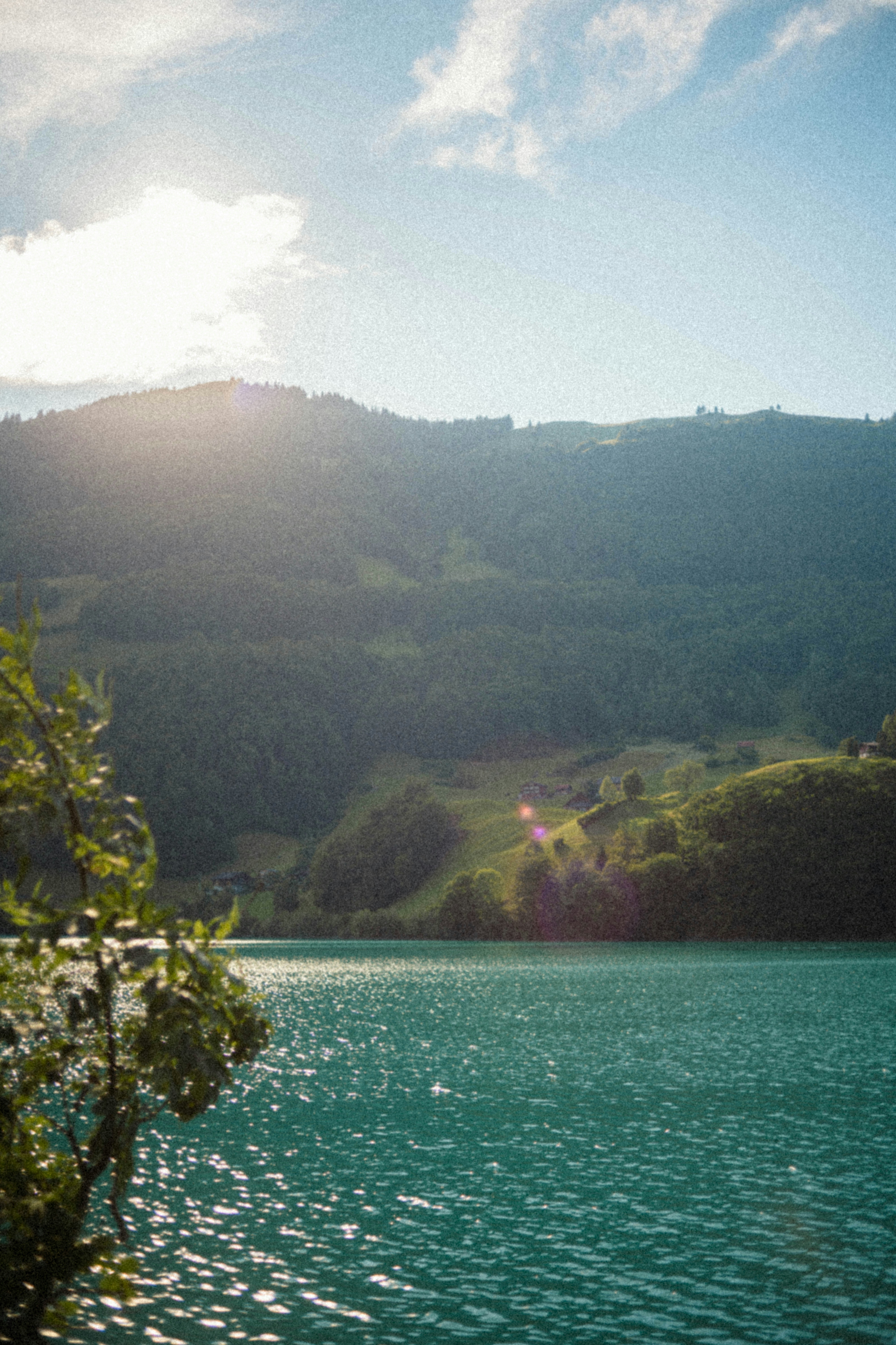 Photo by brunovdkraan