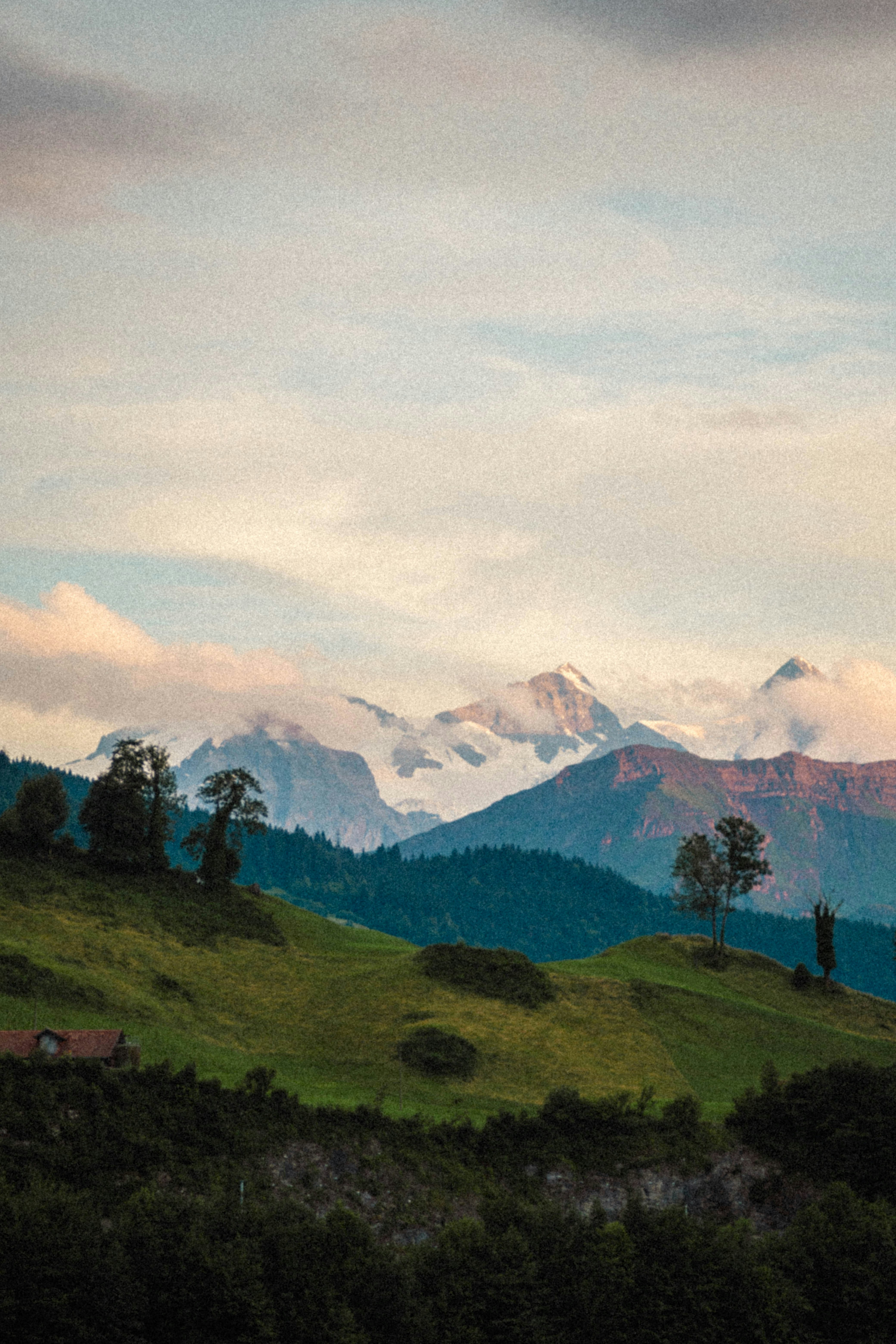구불구불한 푸른 언덕과 나무 위로 산이 우뚝 솟아 있습니다.