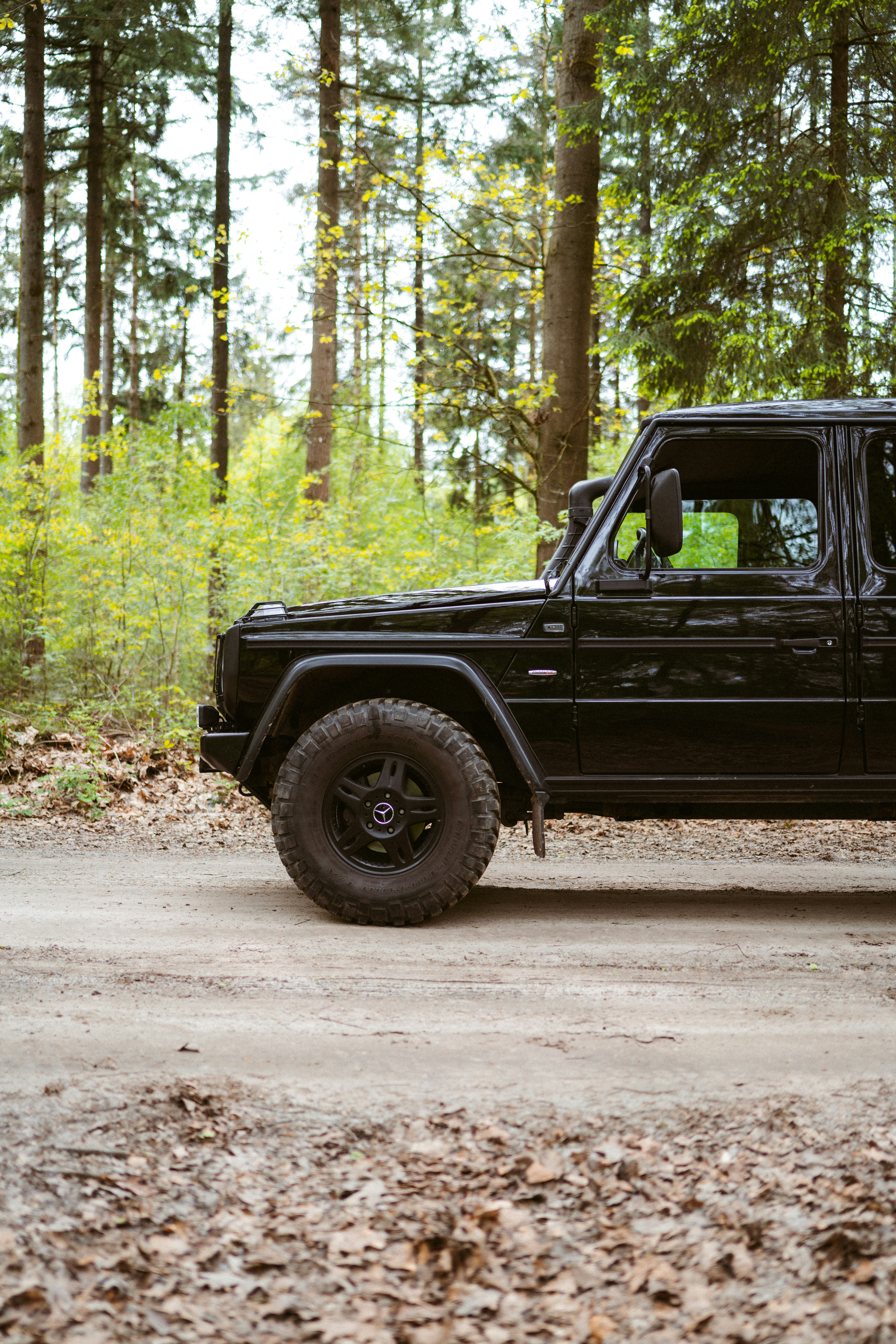 Photo by brunovdkraan