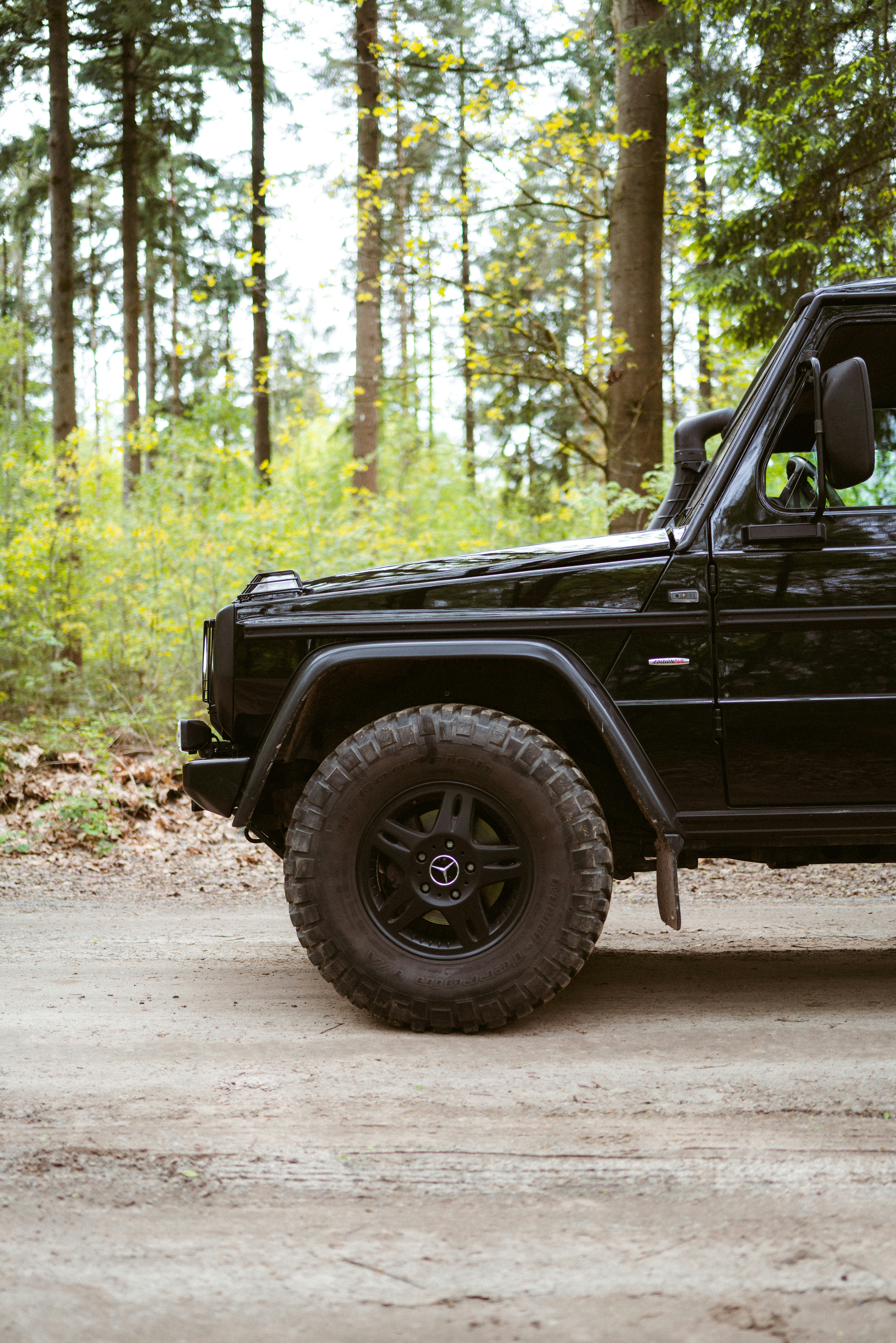 Photo by brunovdkraan