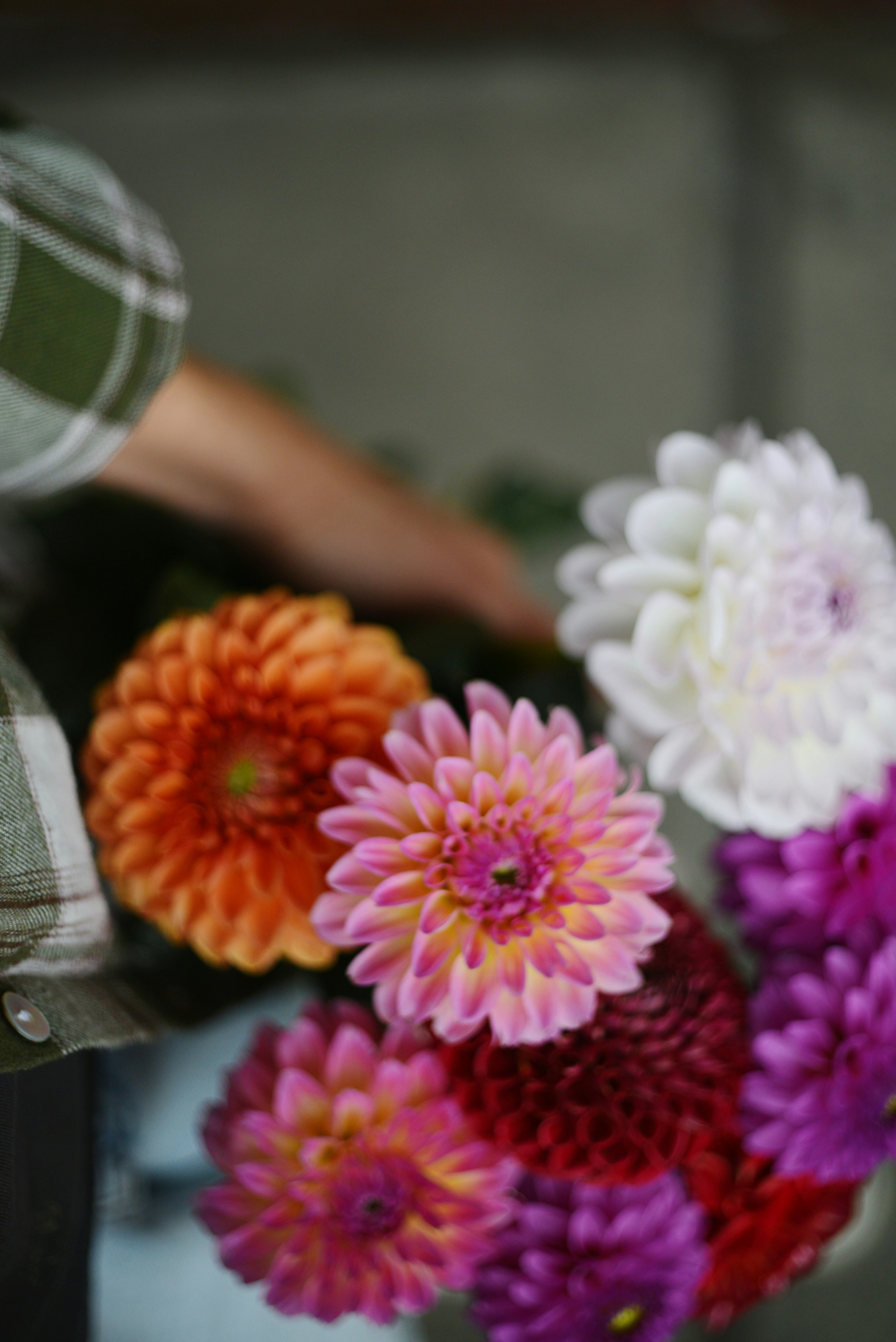 Photo by cherstve_pechivo