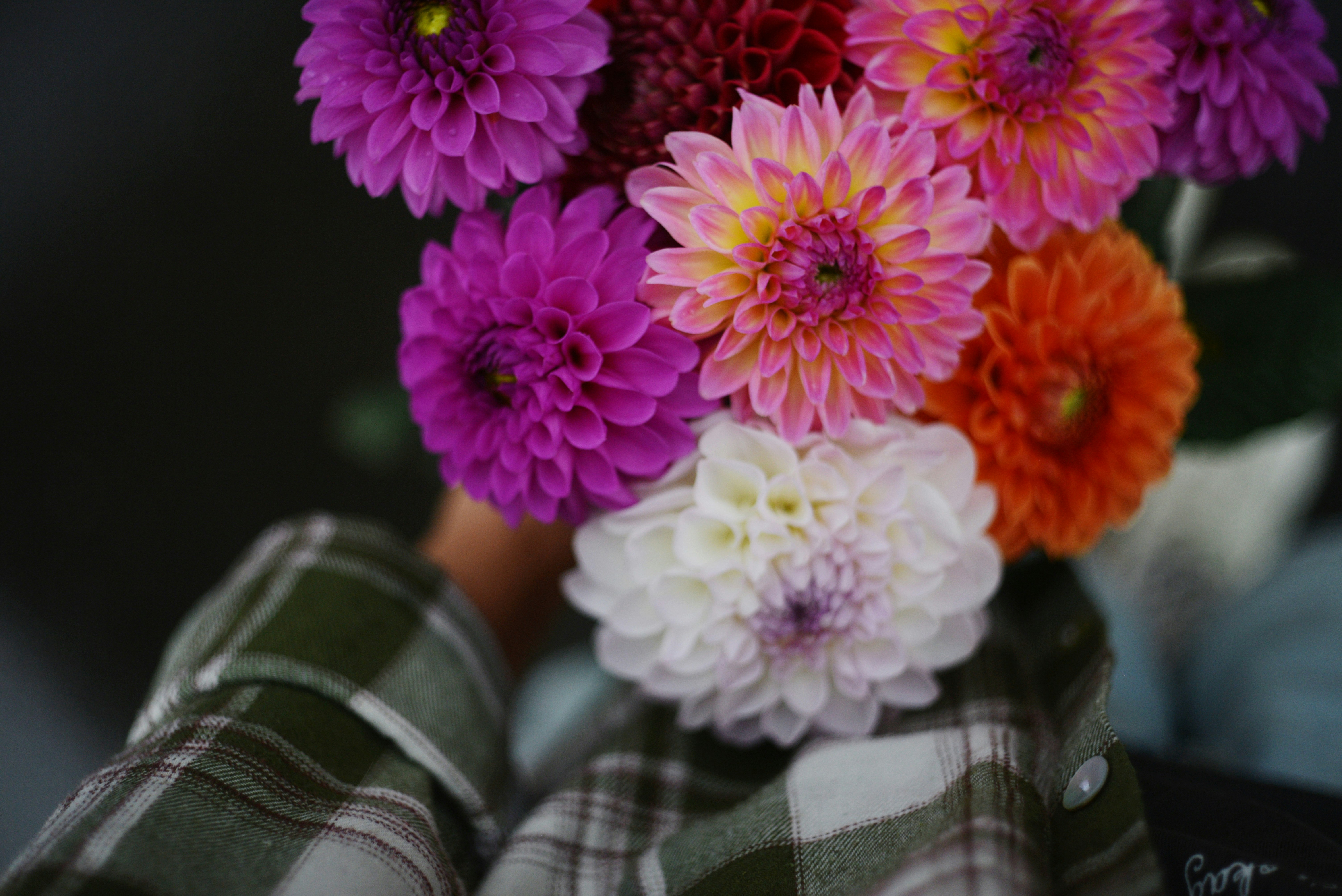 Photo by cherstve_pechivo