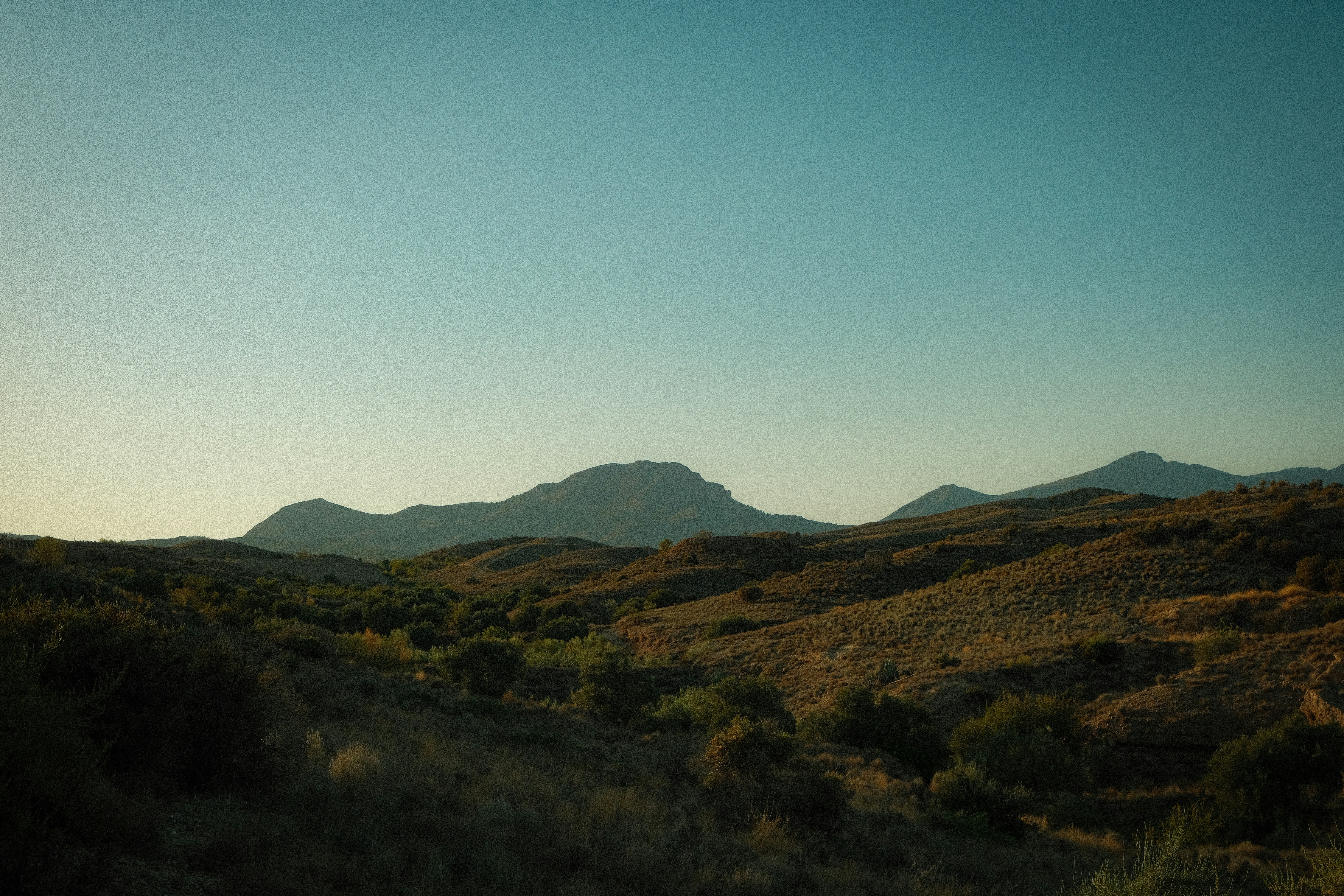 Photo by phantomsheart