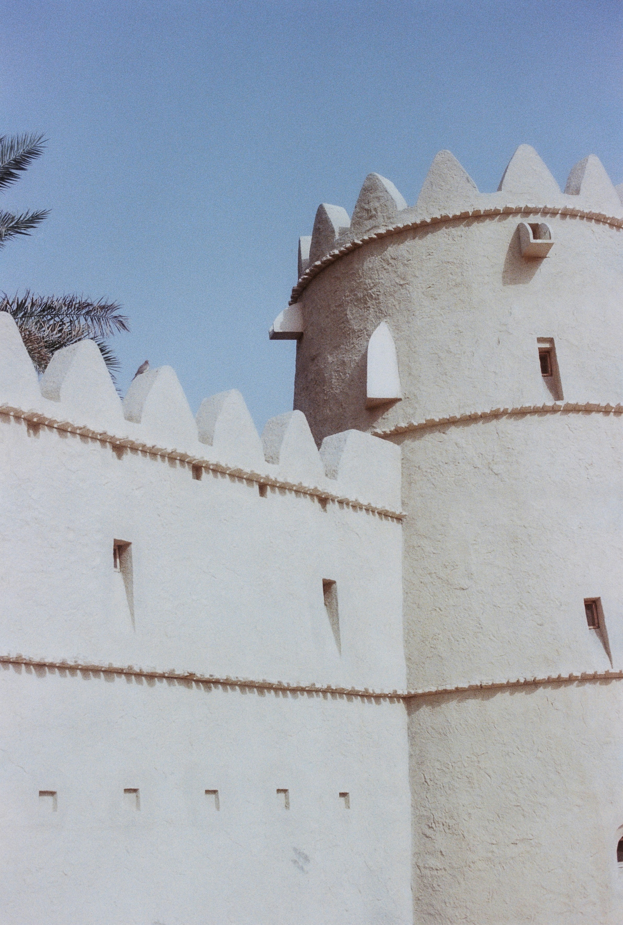 Photo by joanacabreu