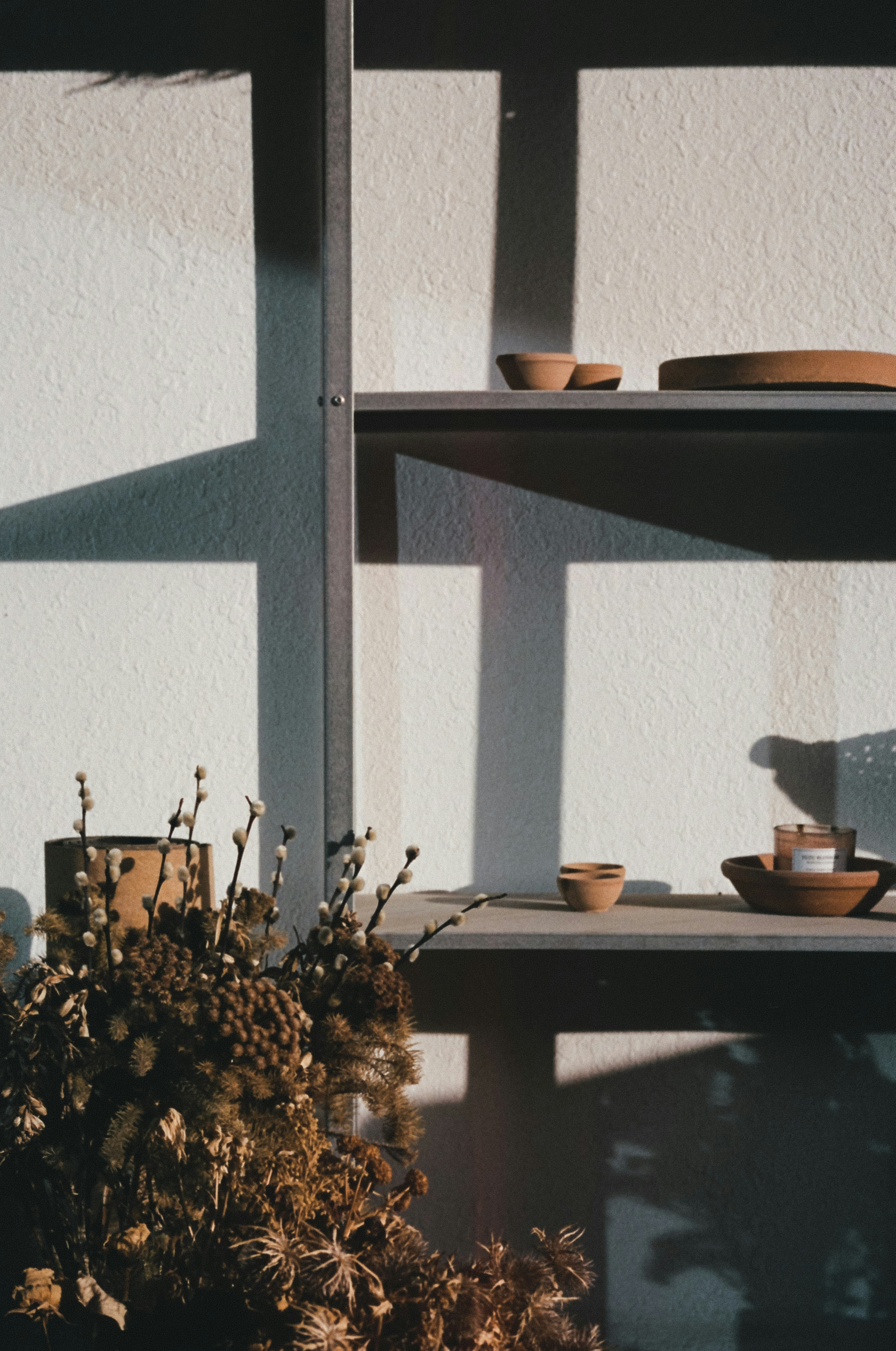 Photo by joanacabreu