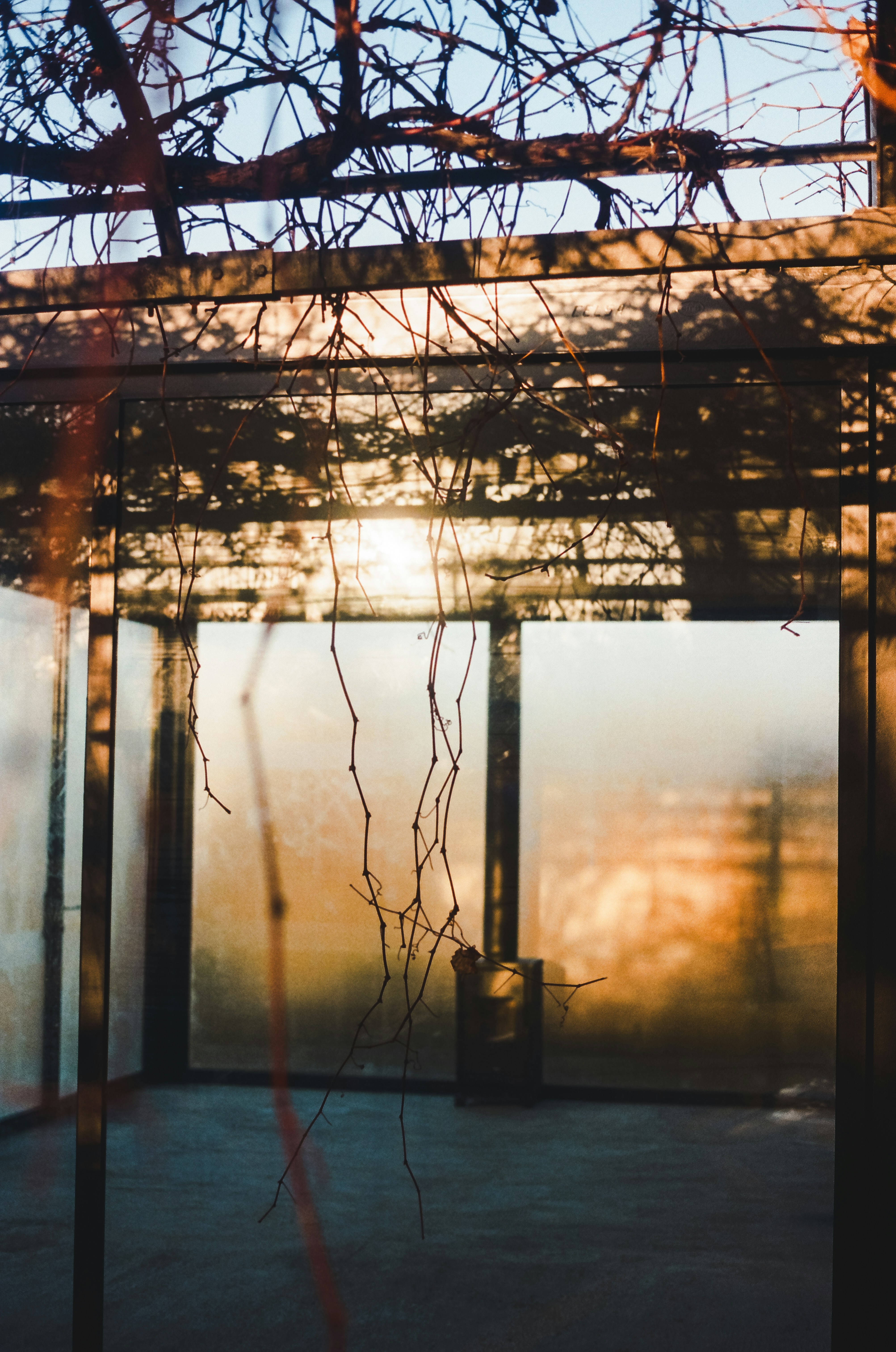 Photo by joanacabreu