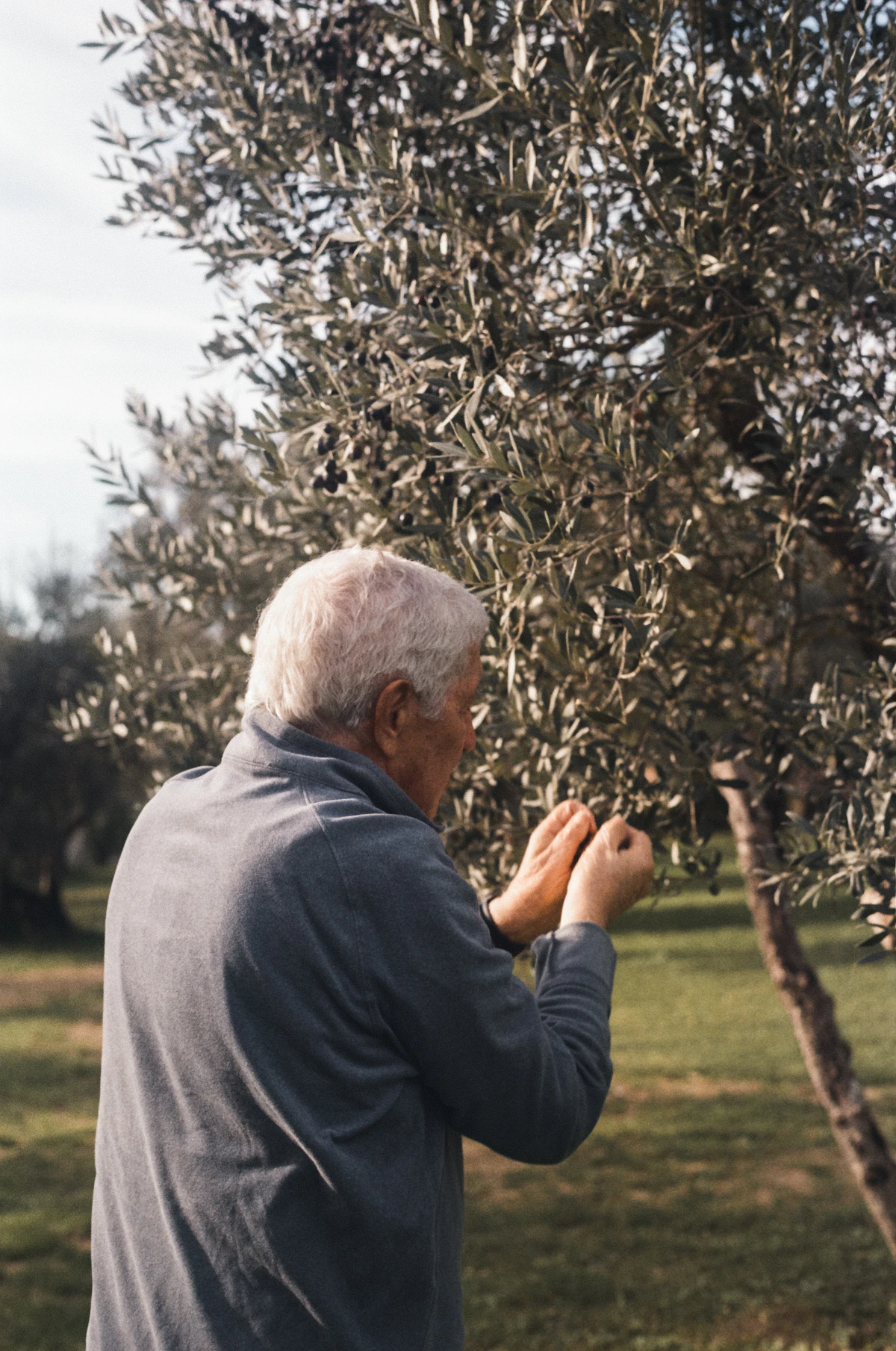 Day 1: Arrival and immersion in L'Isle-sur-la-Sorgue