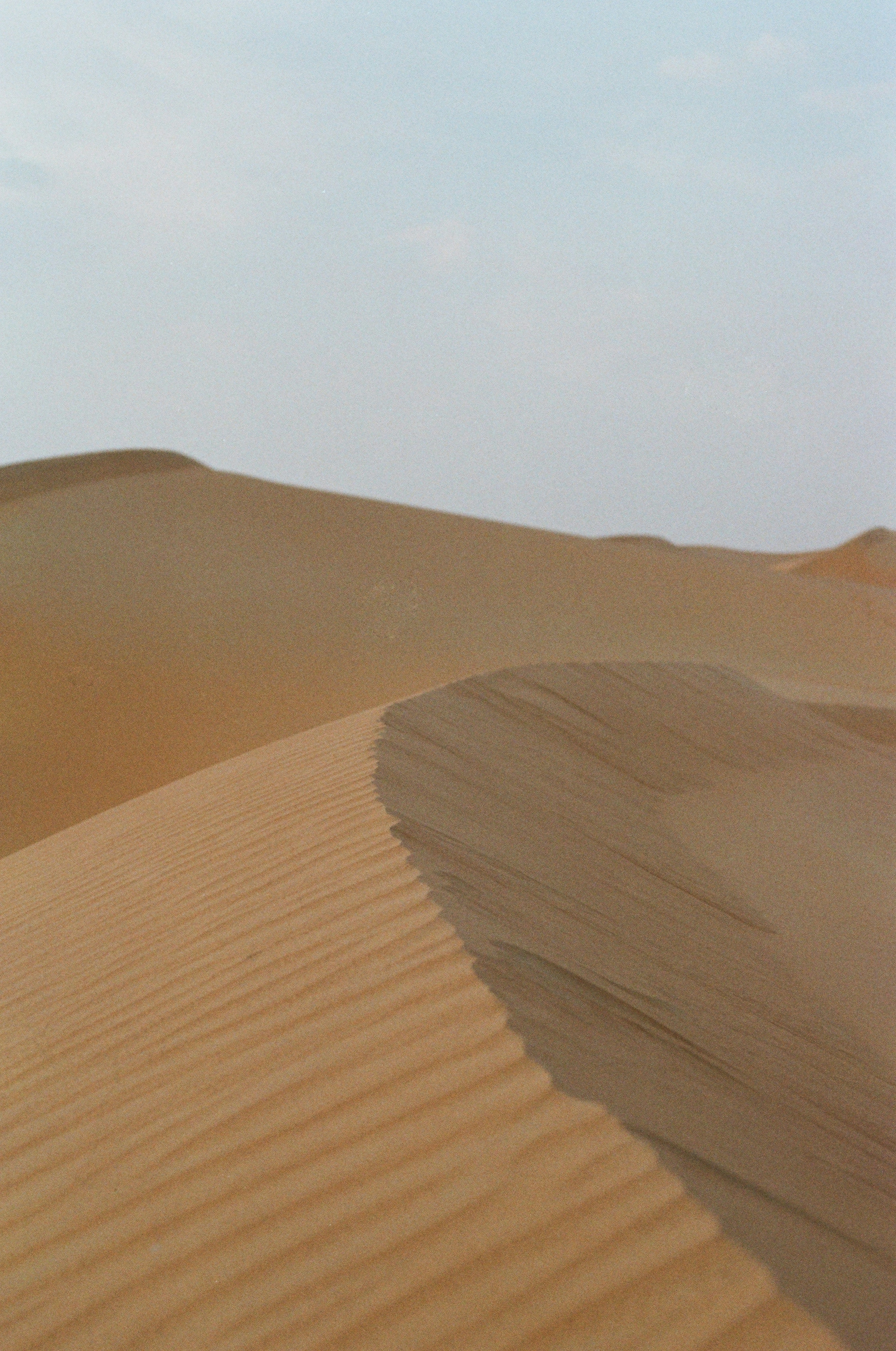 Photo by joanacabreu