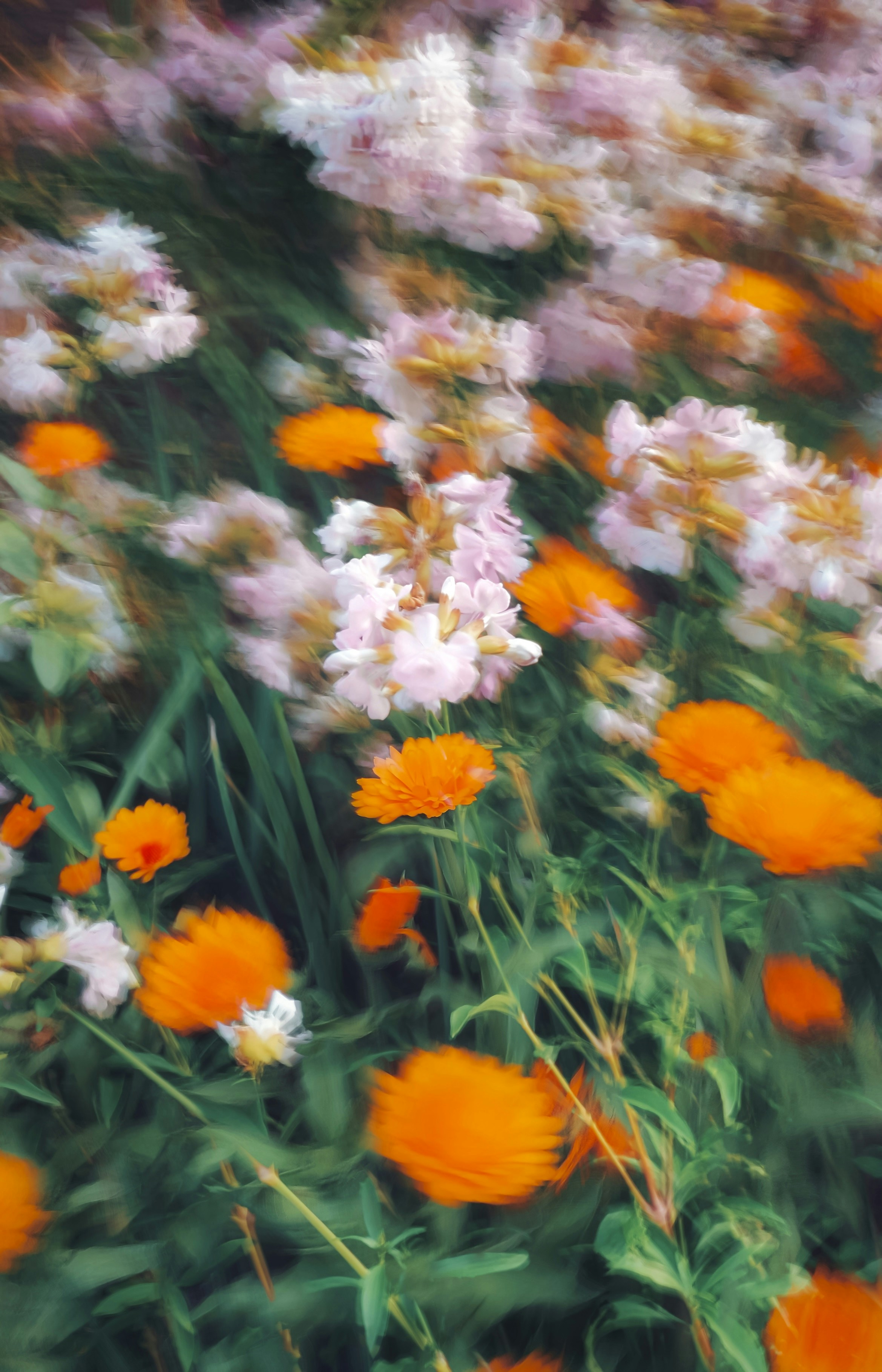 Photo by eugene_golovesov