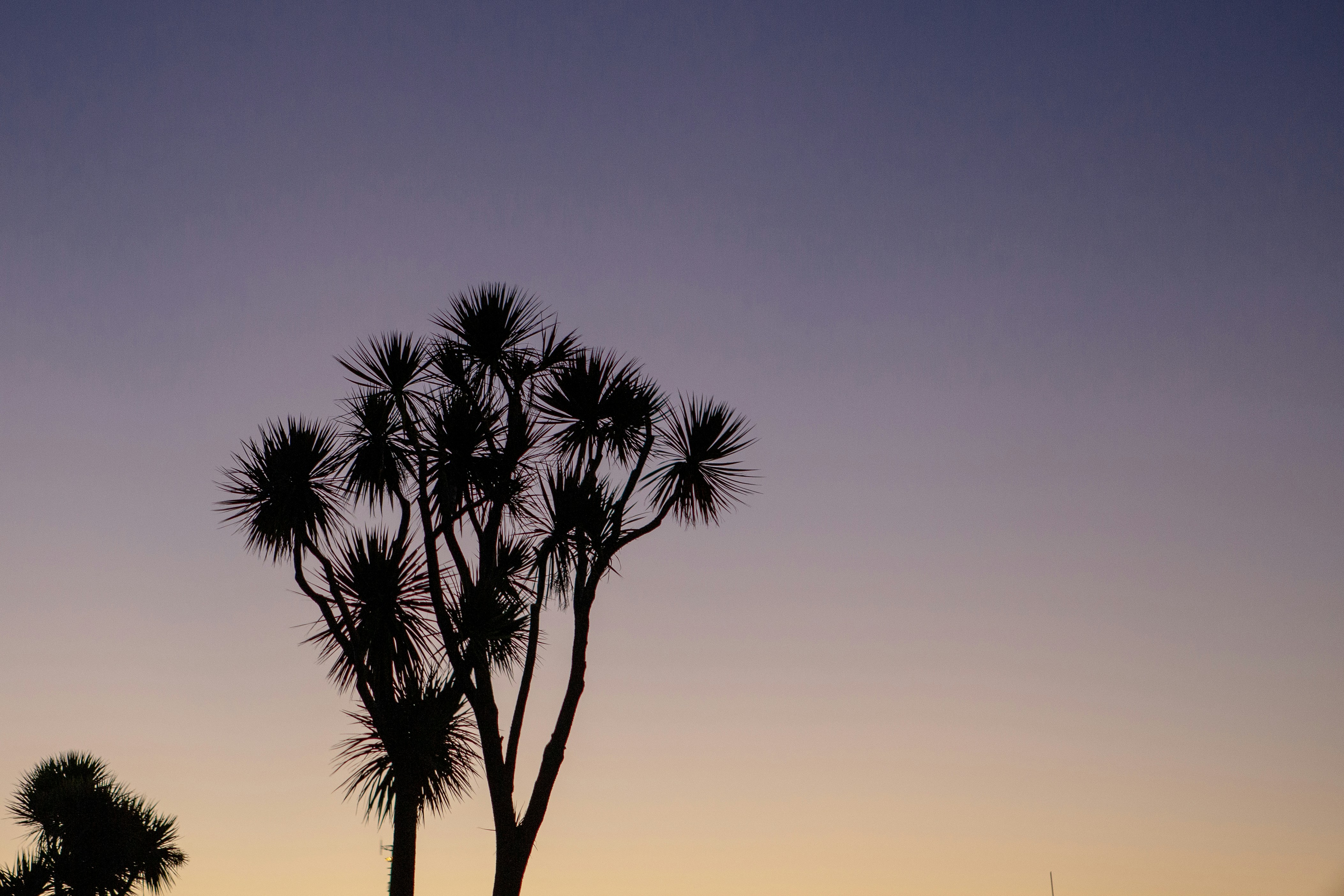 Photo by cassannagyh