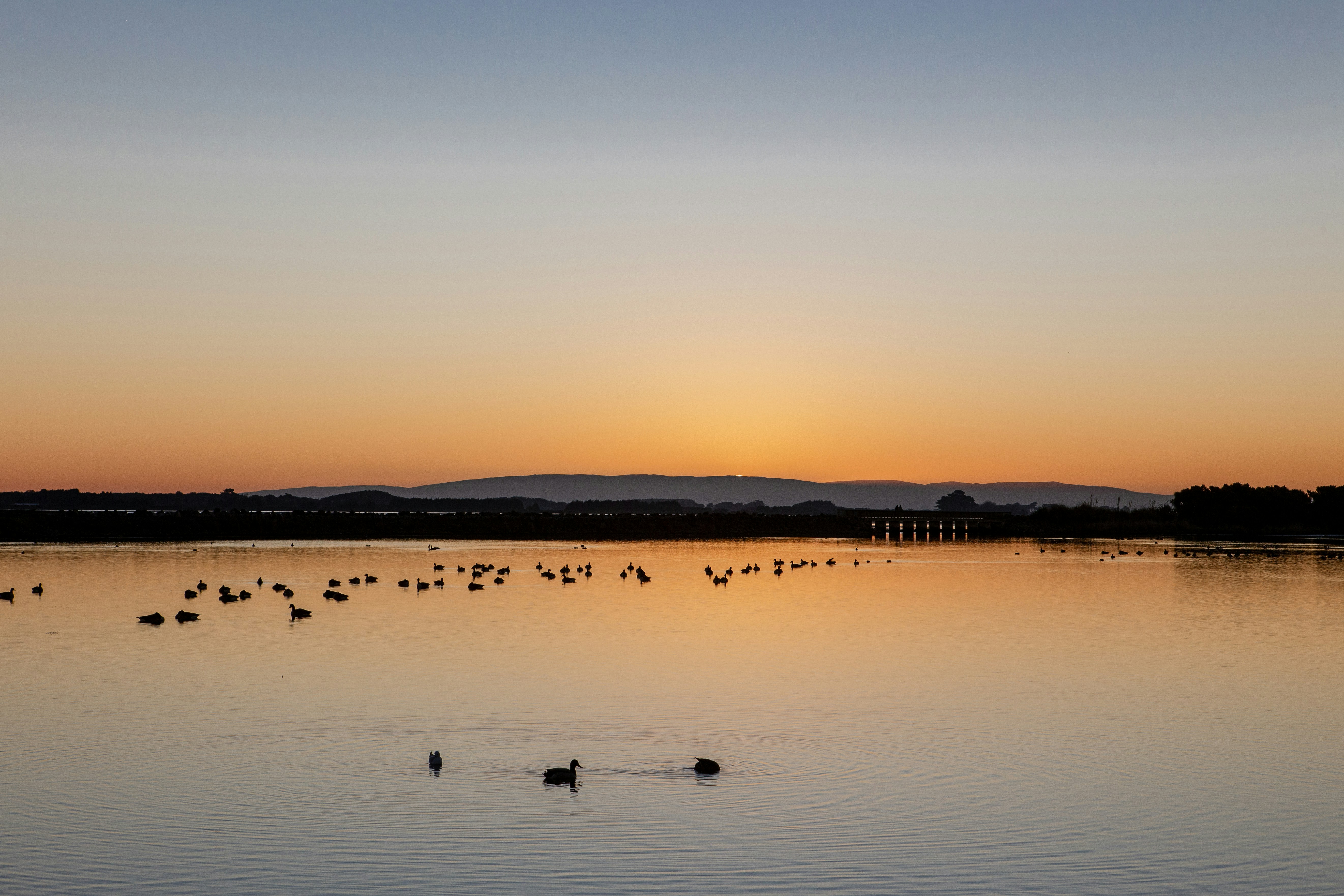 Photo by cassannagyh