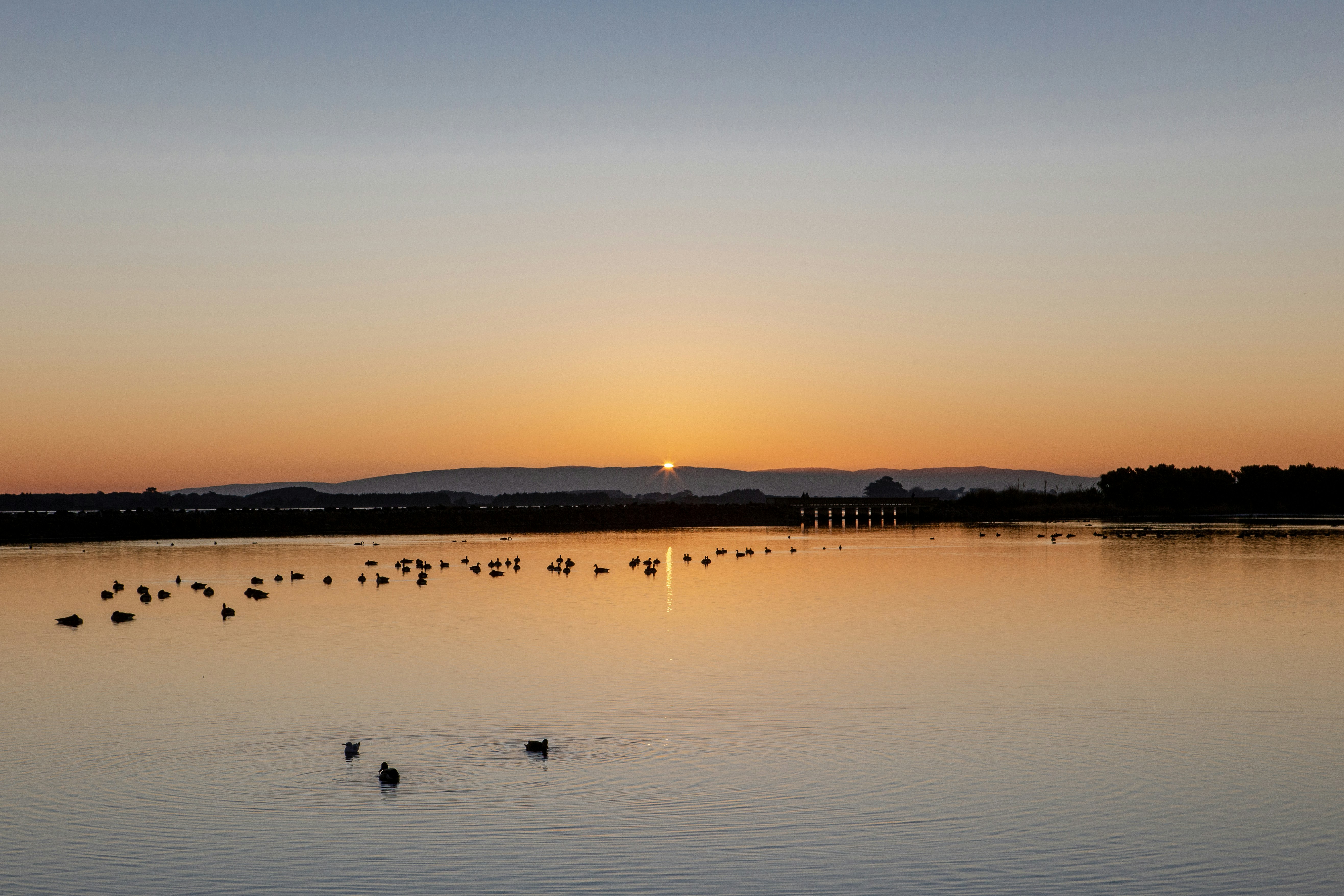 Photo by cassannagyh