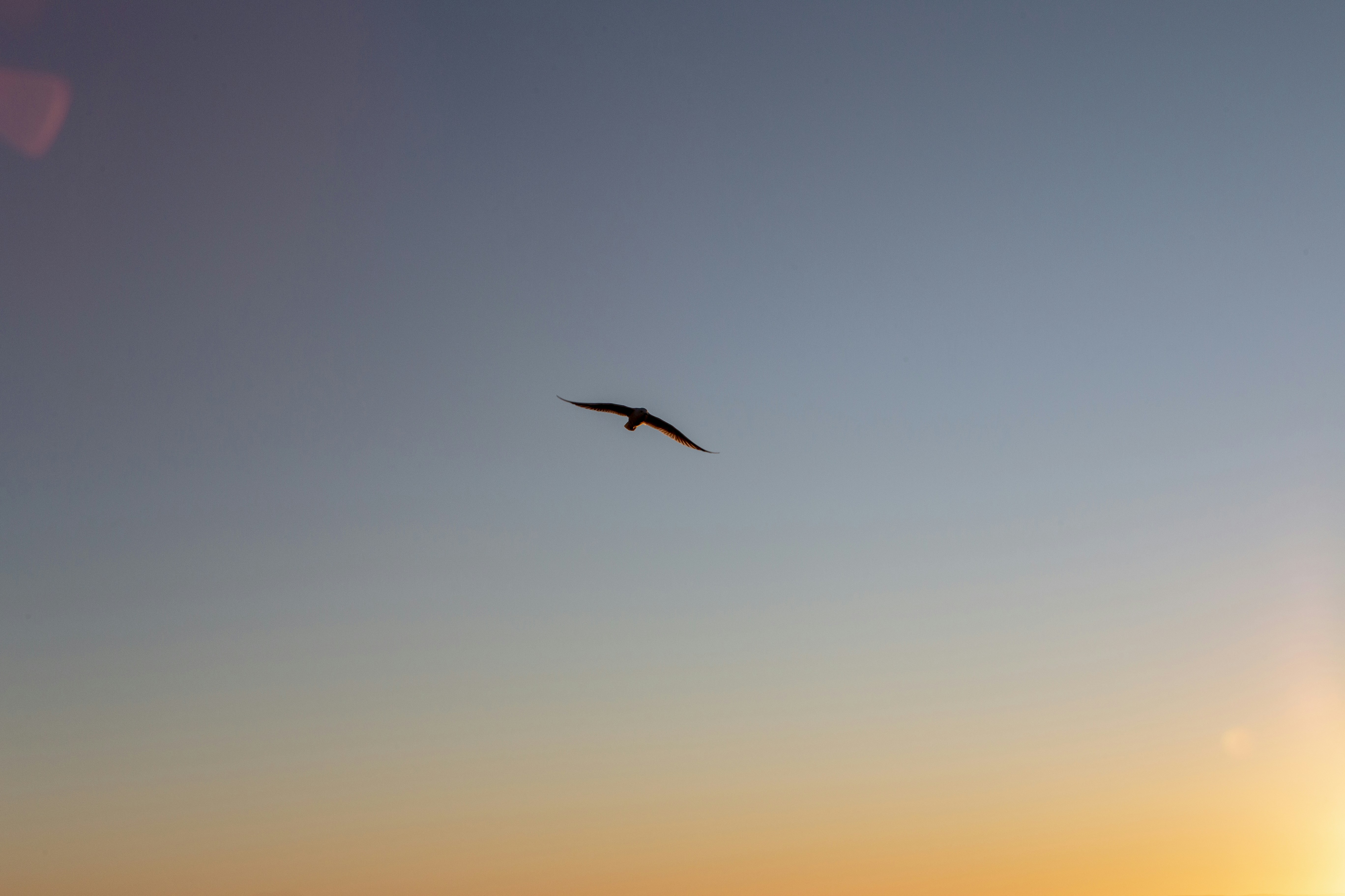 Photo by cassannagyh