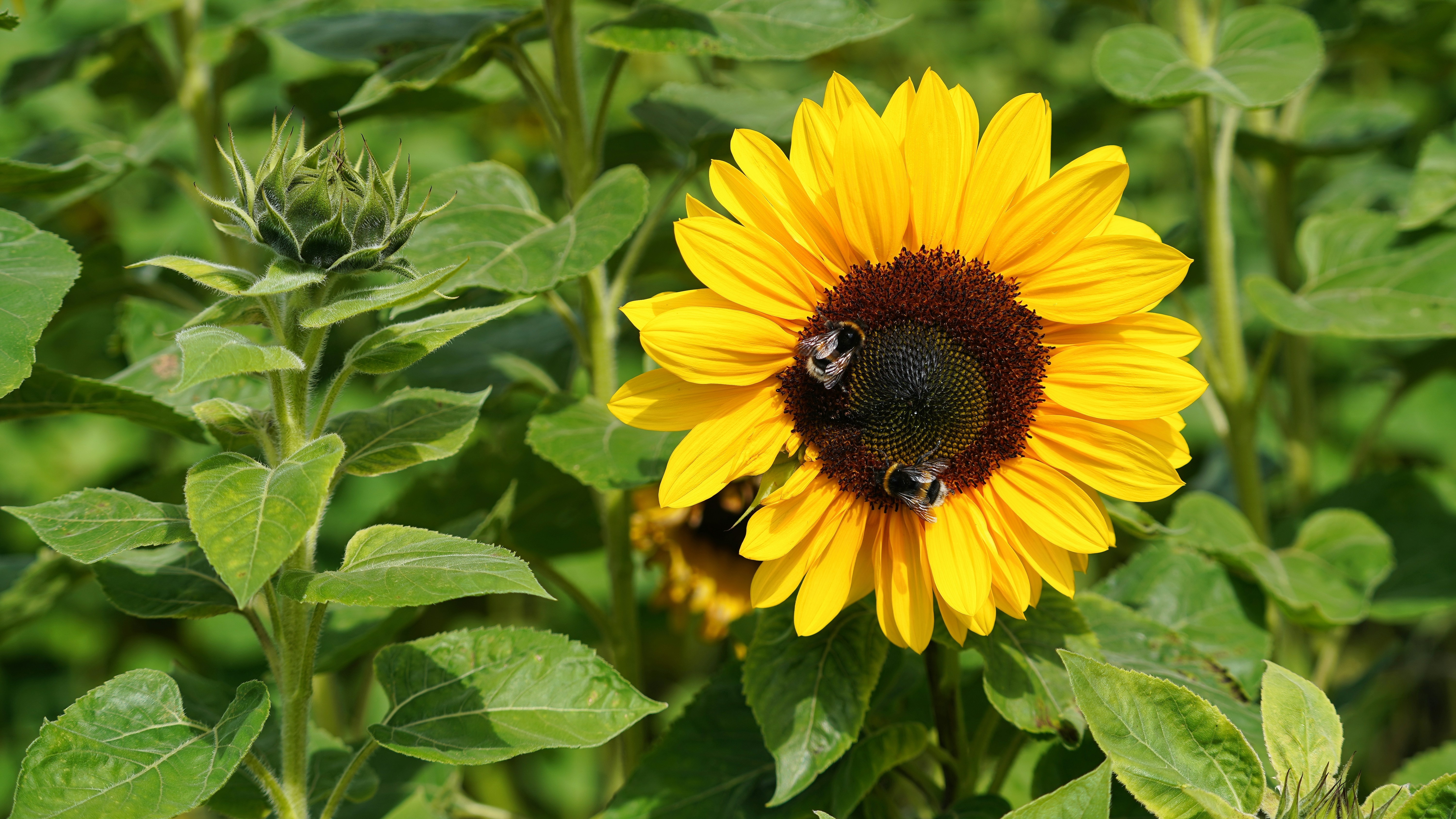 Photo by hamburgmeinefreundin