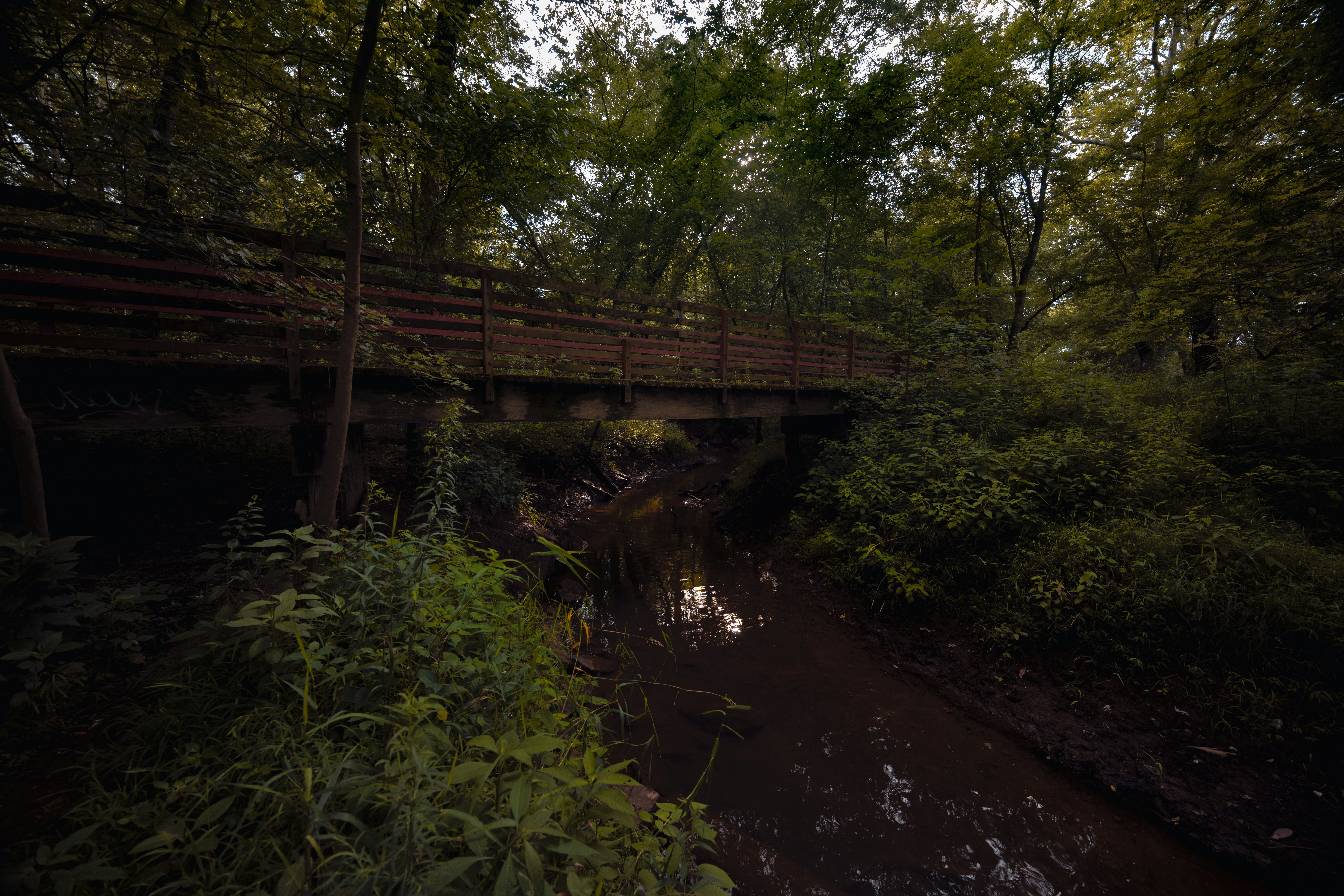 Photo by abject