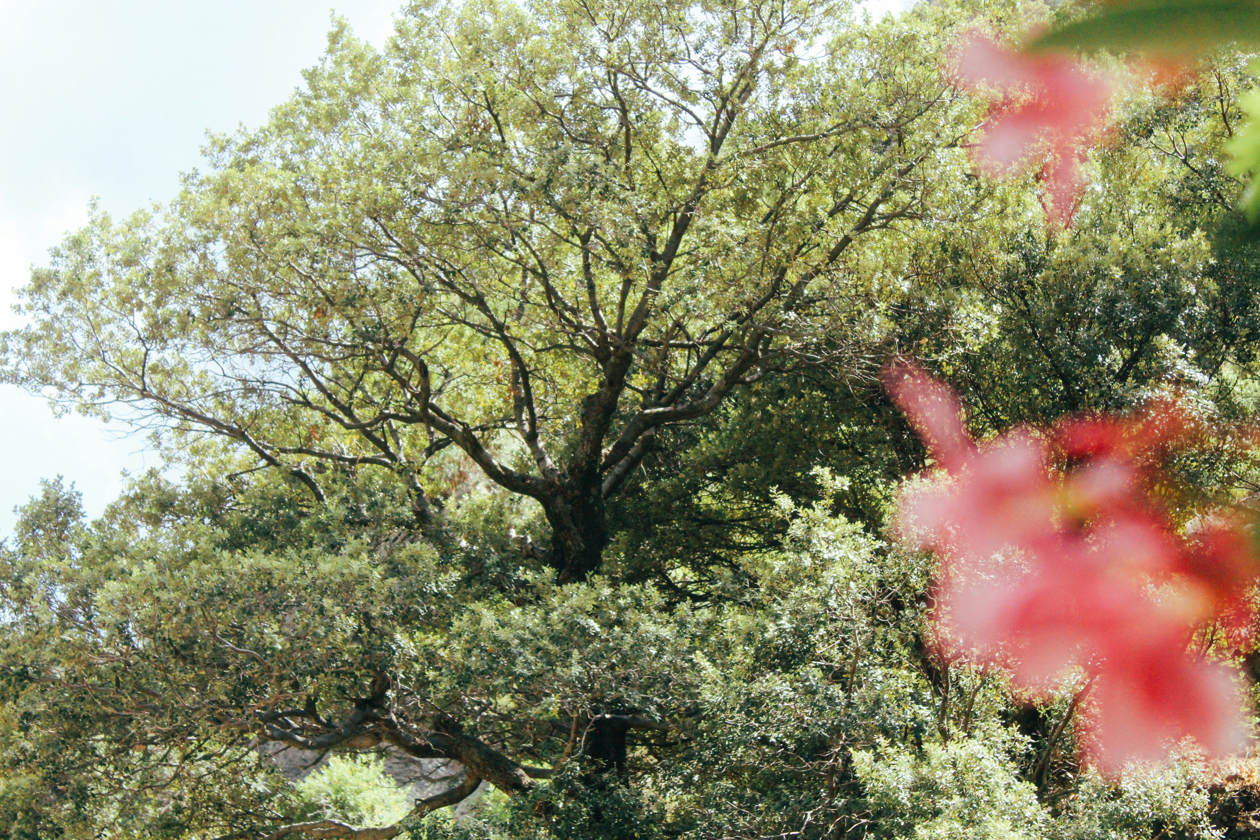 Photo by ghost_sight