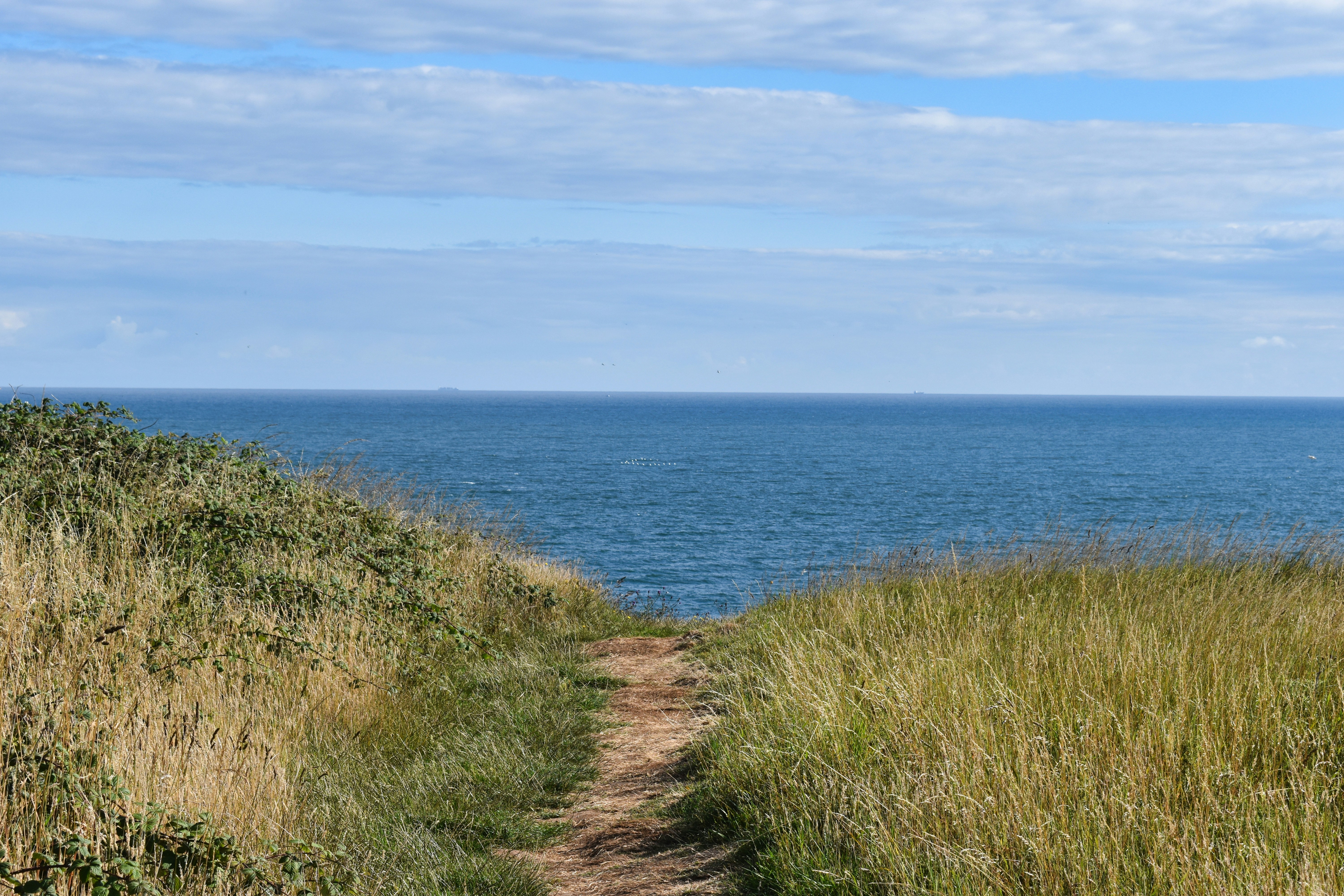 Photo by andrew_hall