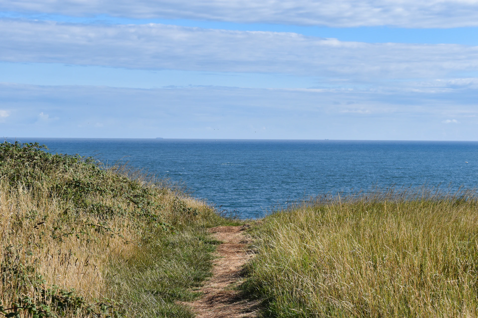 Path leads to the tranquil blue ocean.