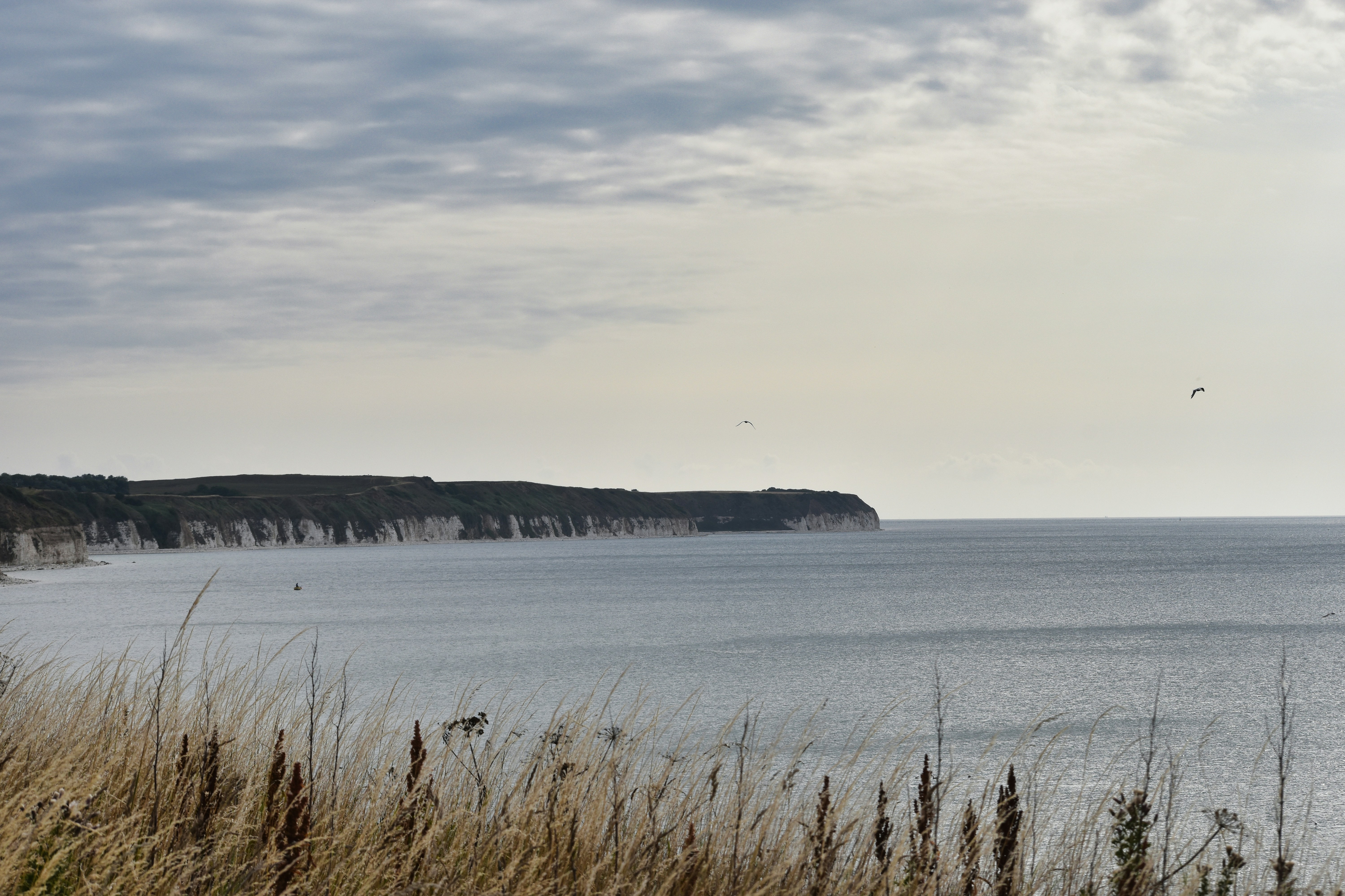 Photo by andrew_hall