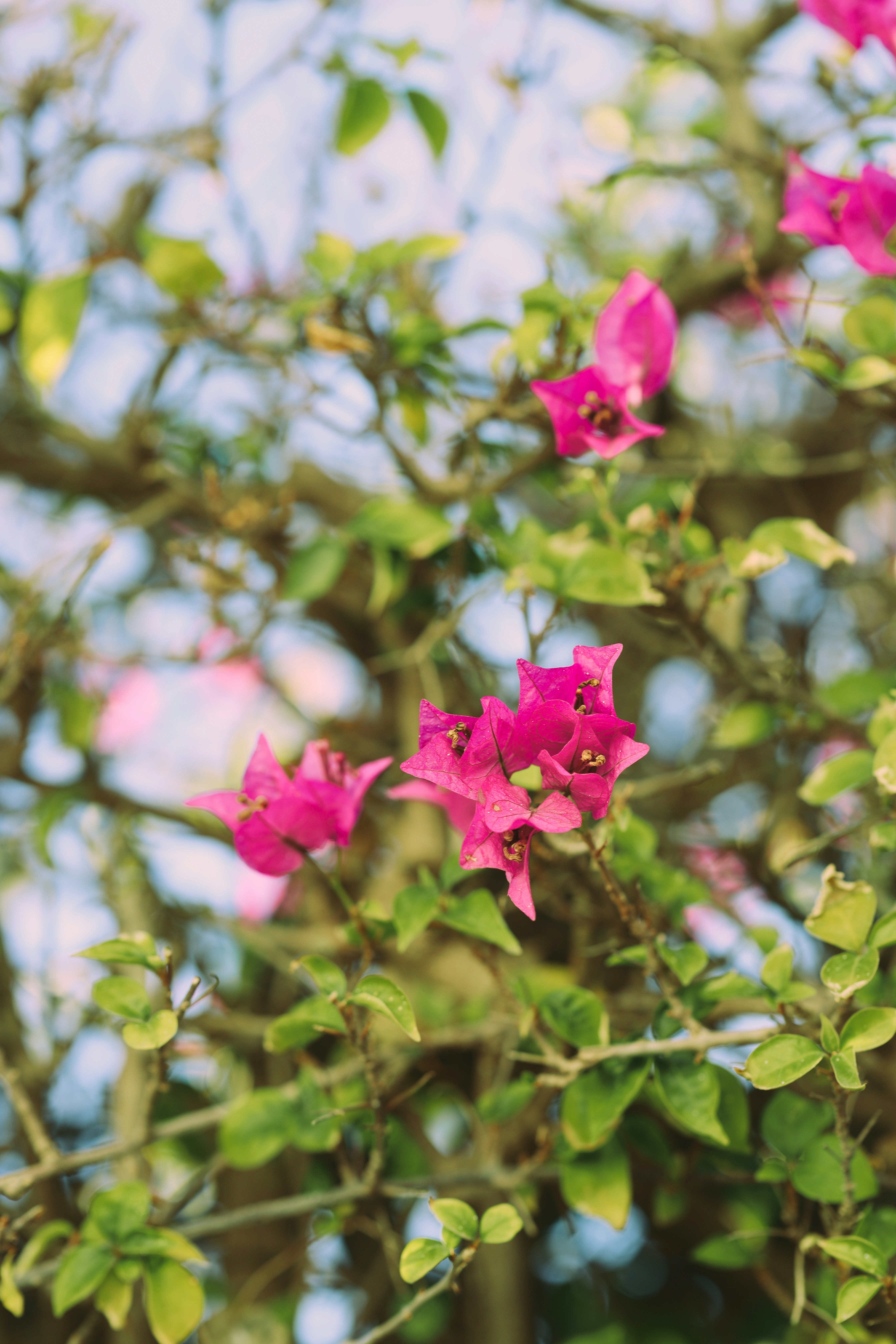 Photo by himo_beast1996