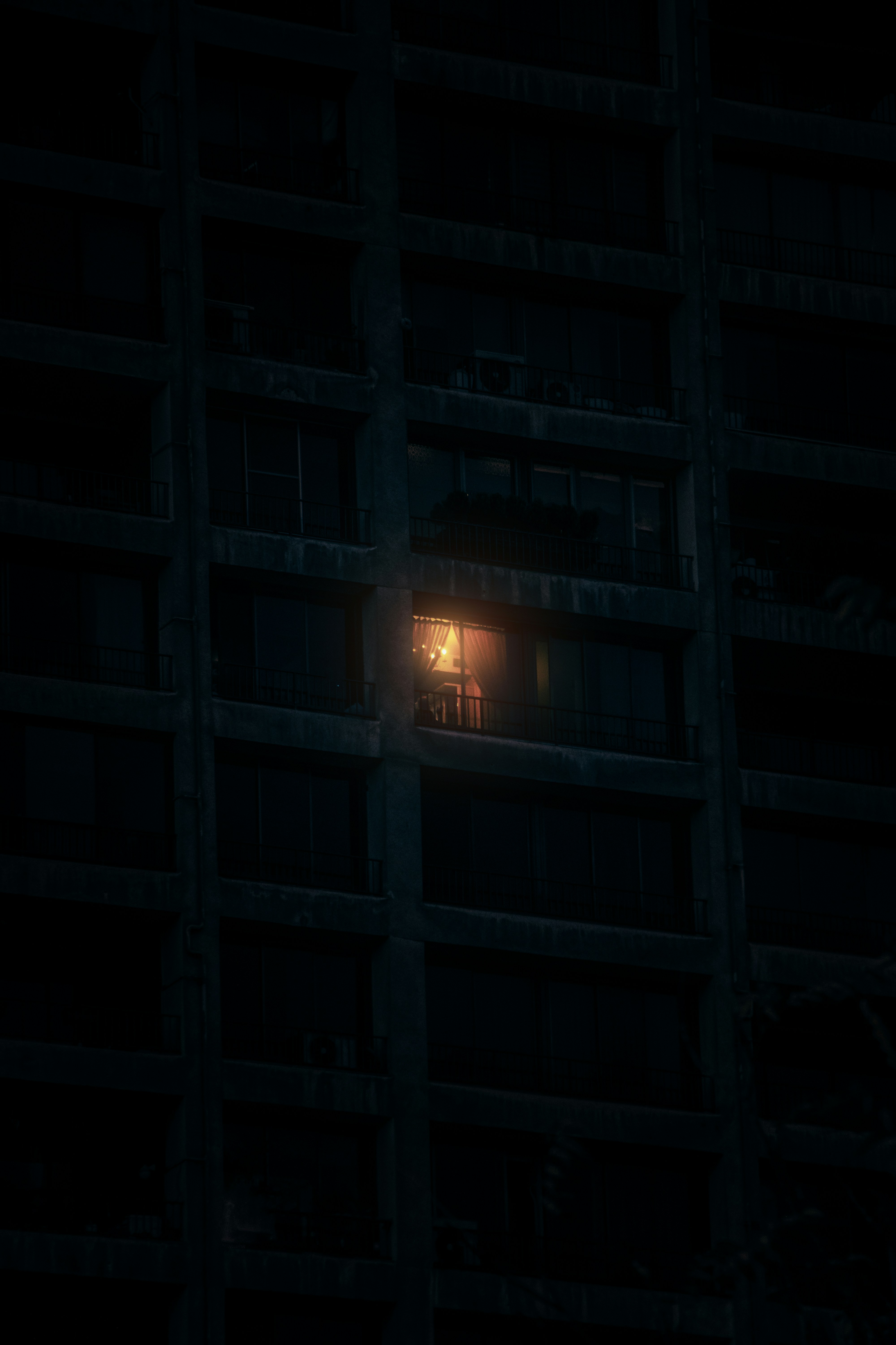 Photo by mahdibafande