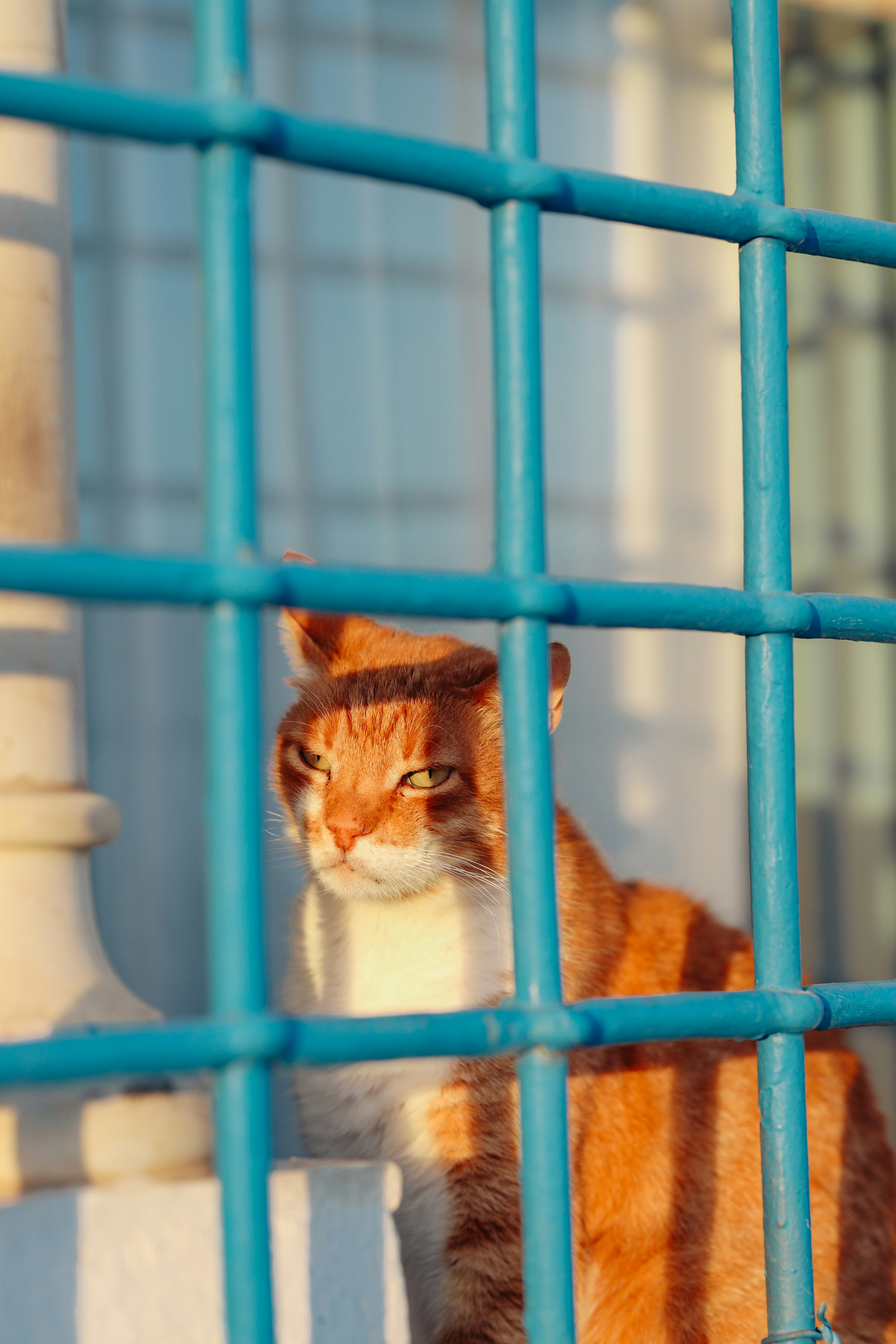 Photo by himo_beast1996