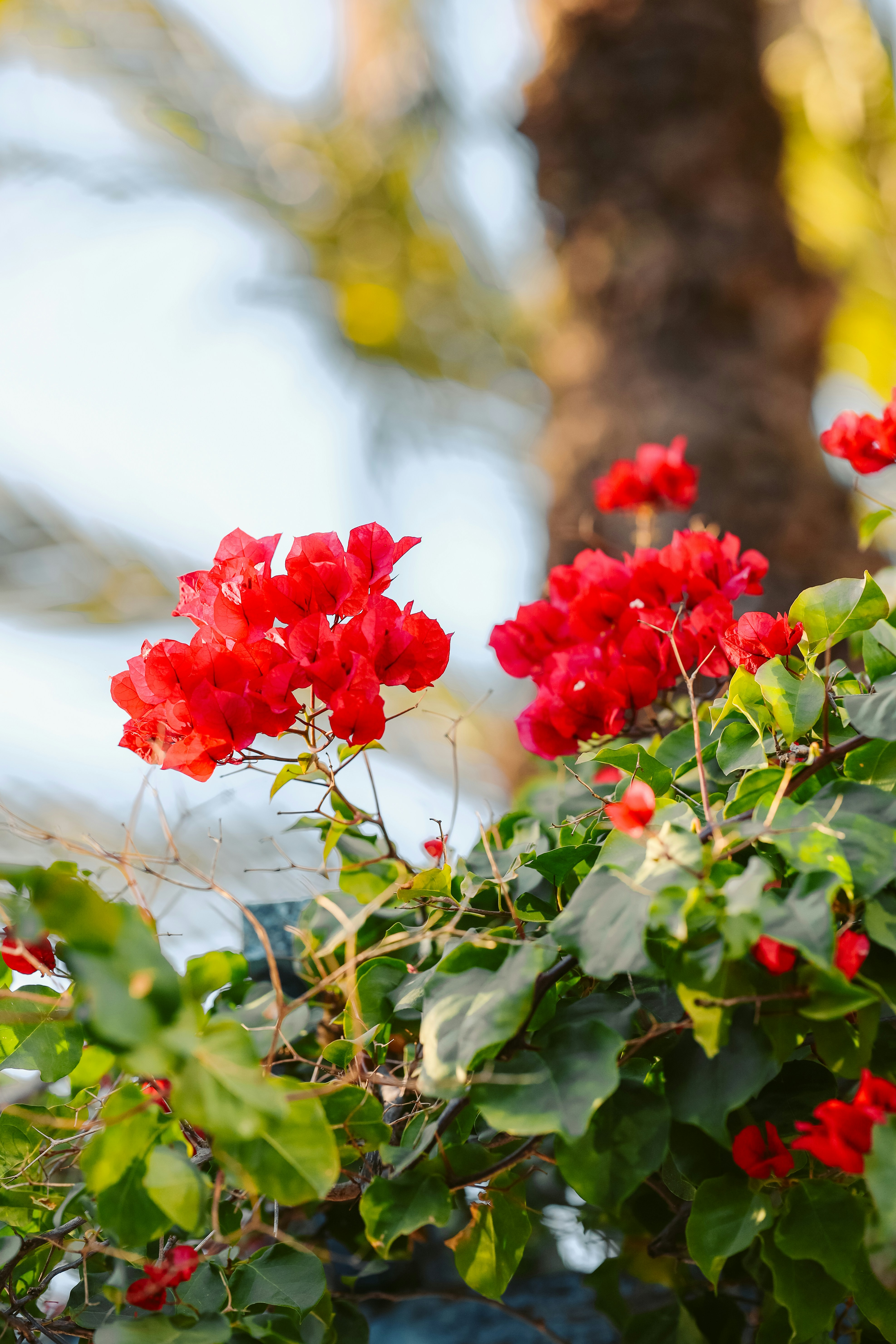 Photo by himo_beast1996